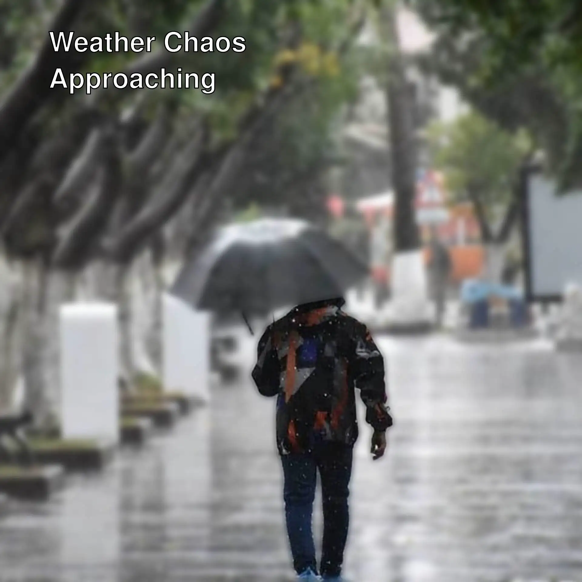 A person walking in the rain with an umbrella. A person walking in the rain with an umbrella.