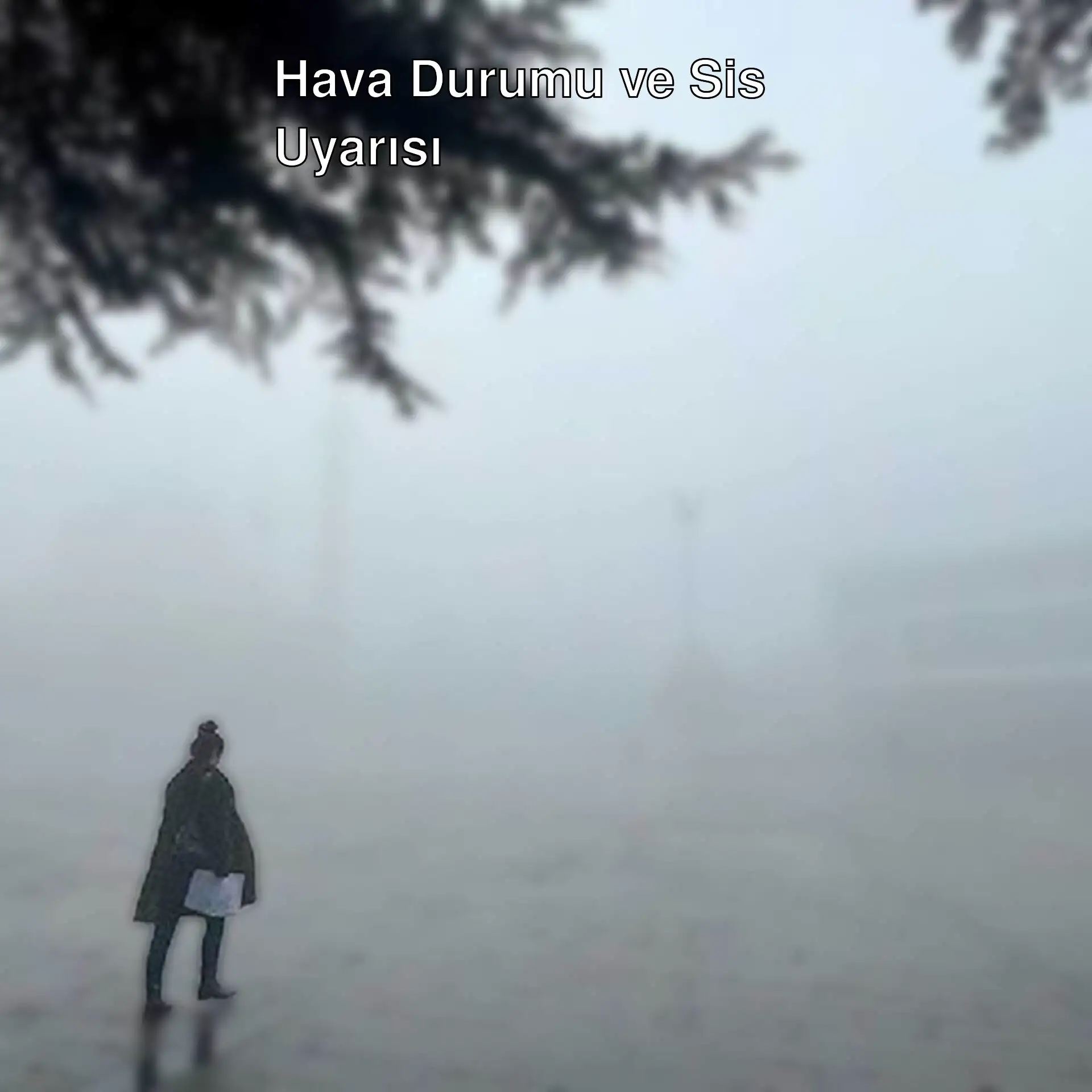 Sisli bir alanda duran bir kişi Sisli bir alanda duran bir kişi