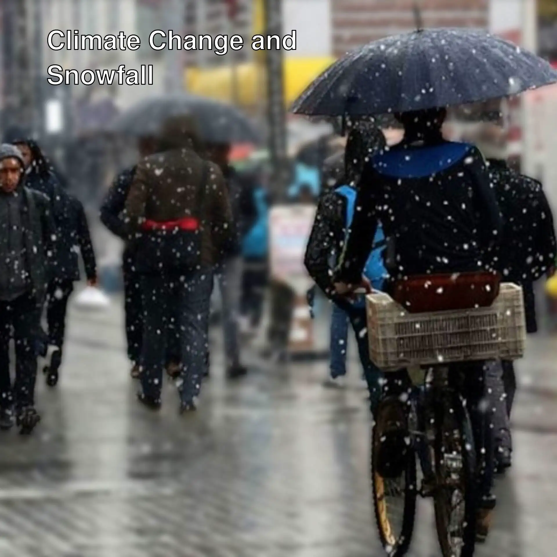 A person on a bicycle with umbrellas in the rain. A person on a bicycle with umbrellas in the rain.
