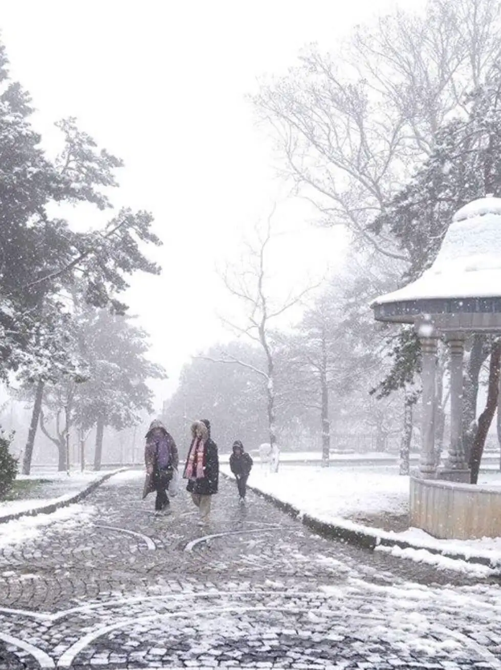 Winter is not over yet... A couple dressed in winter clothes walking in the snow. Winter is not over yet... A couple dressed in winter clothes walking in the snow.