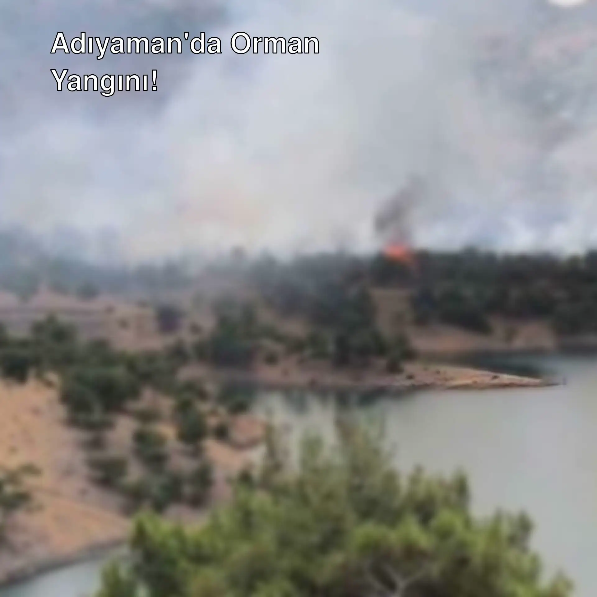 Adıyaman'da orman yangını Adıyaman'da orman yangını