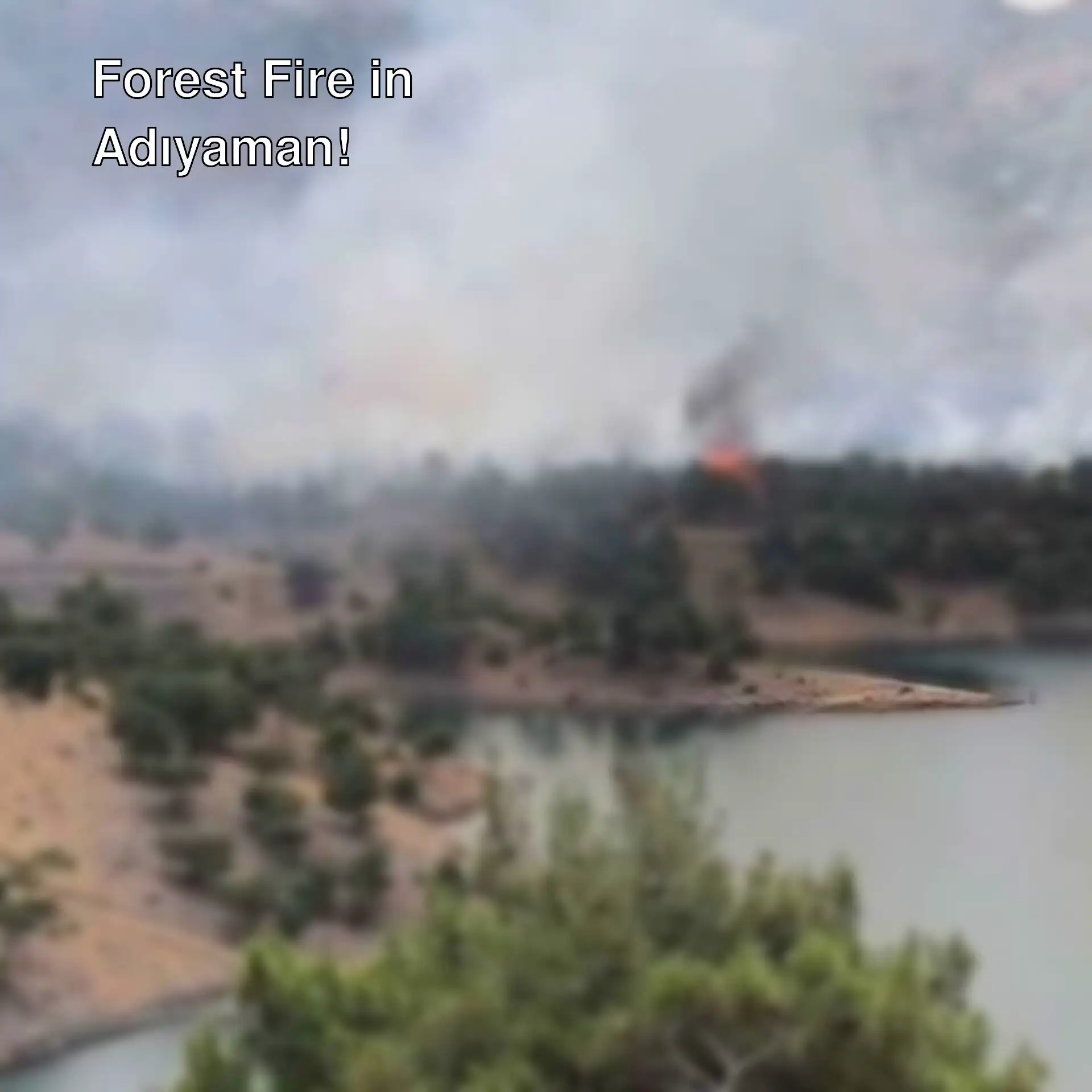 Forest fire in Adıyaman Forest fire in Adıyaman