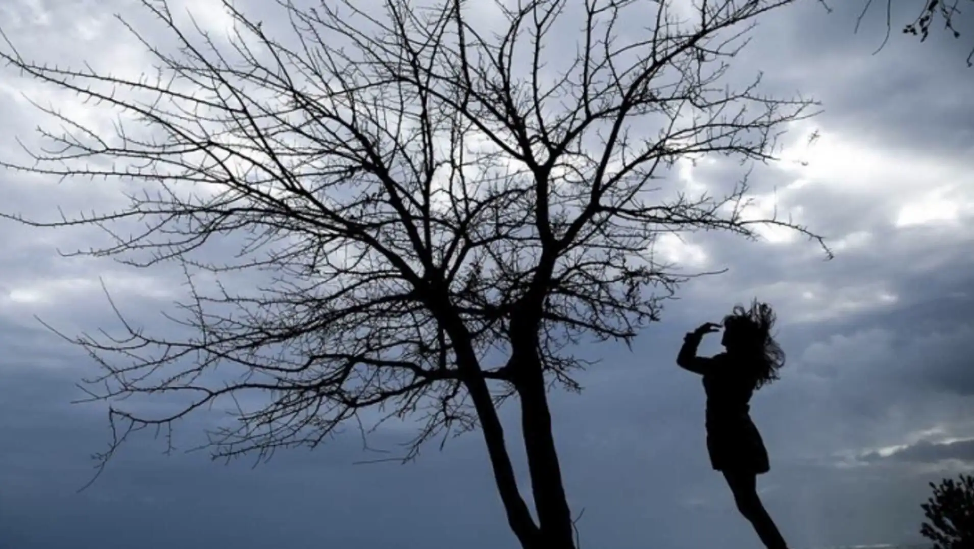 A woman standing in front of a tree. A woman standing in front of a tree.