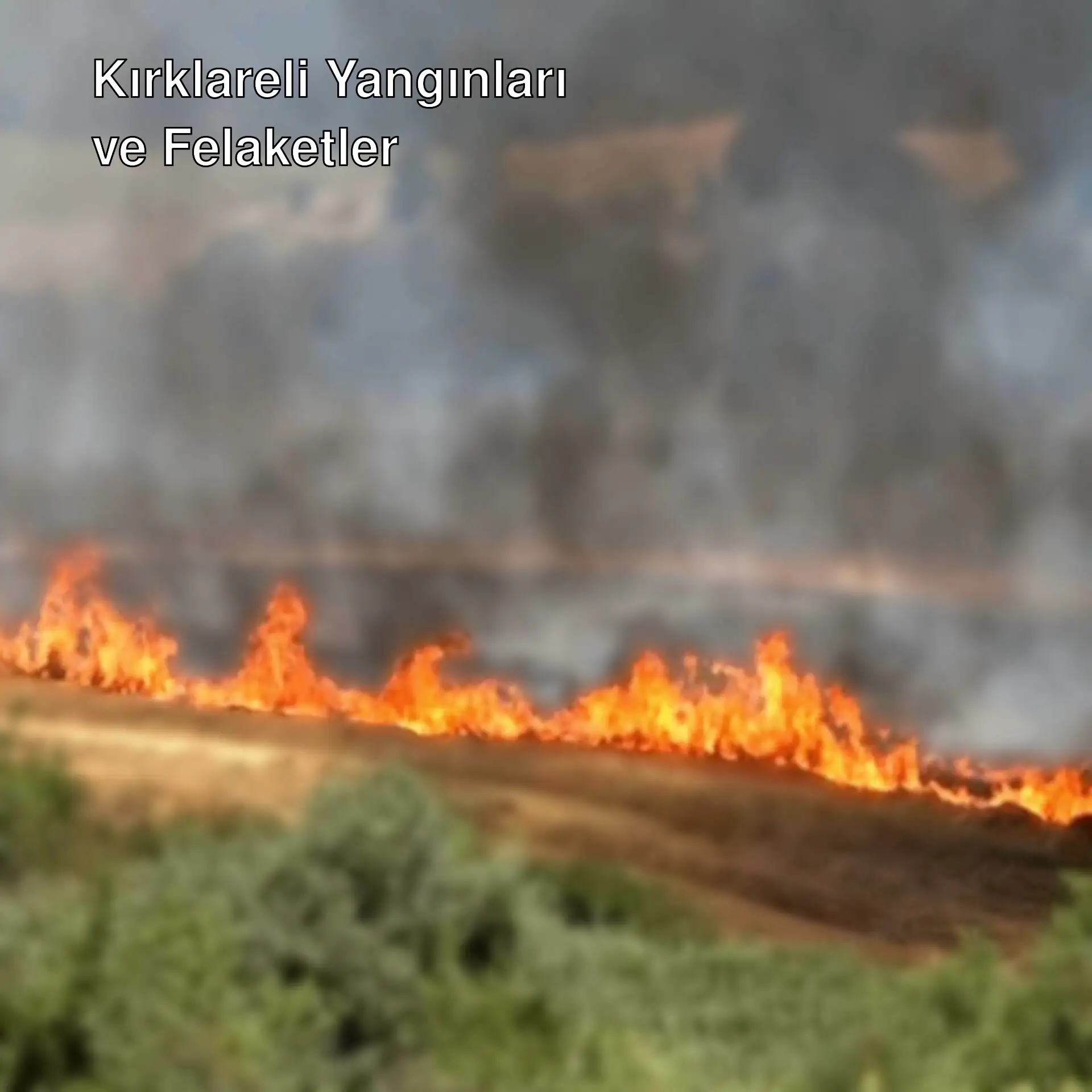 Kırklareli'nde bir yangın alanı.