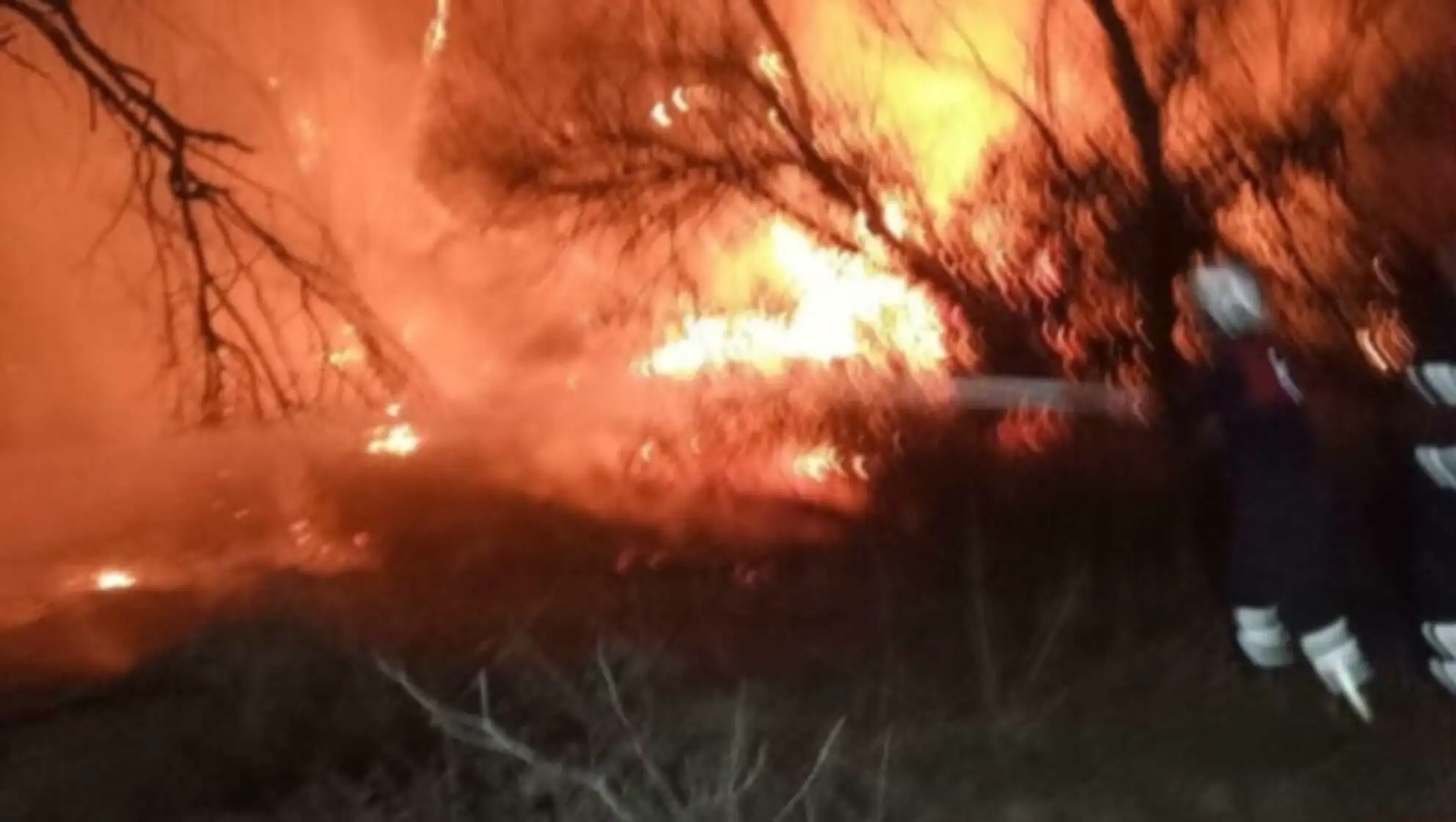 A fire in a wooded area. A fire in a wooded area.