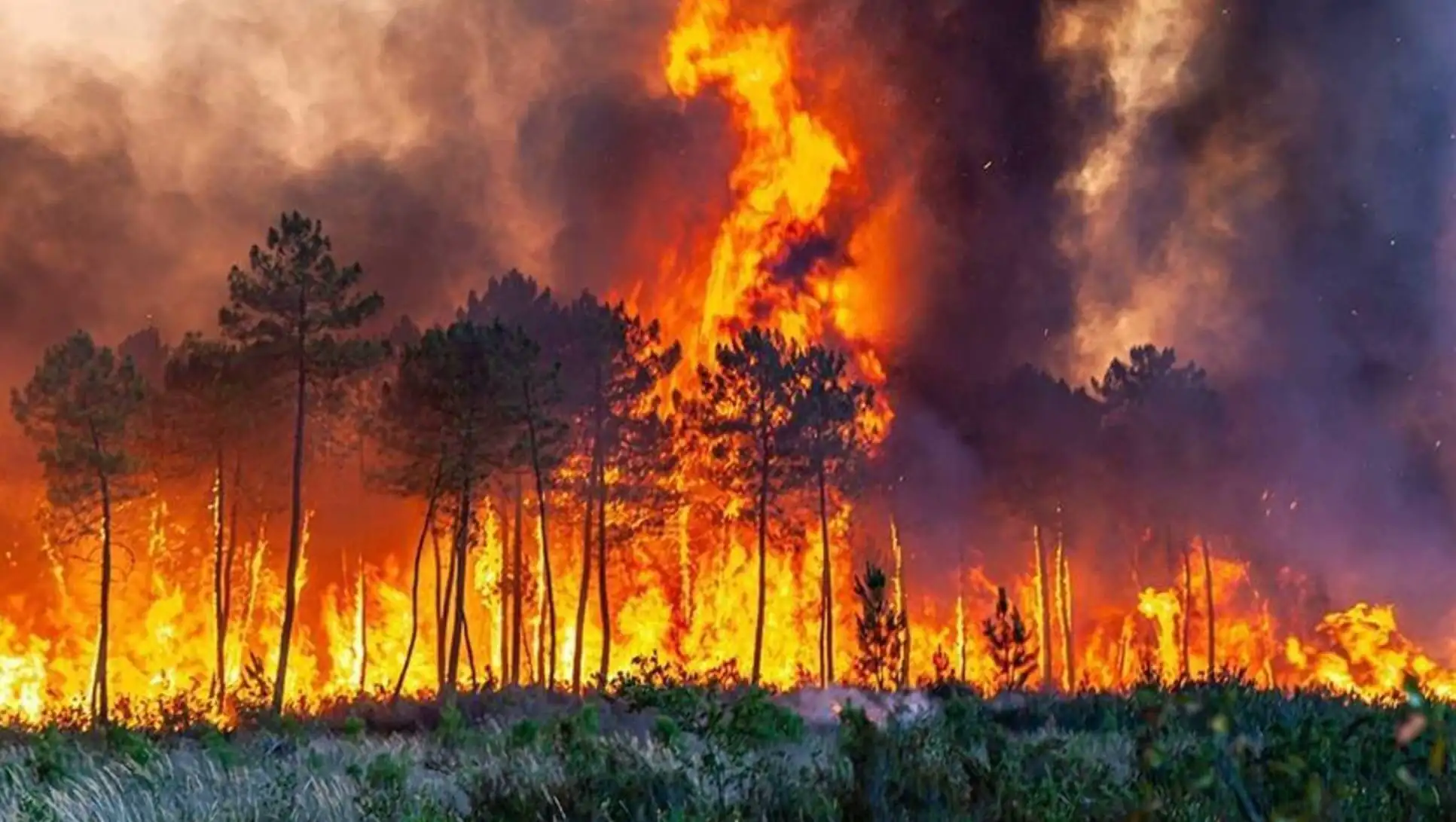 Minister Yumaklı holds a press conference on forest fires. Minister Yumaklı holds a press conference on forest fires.