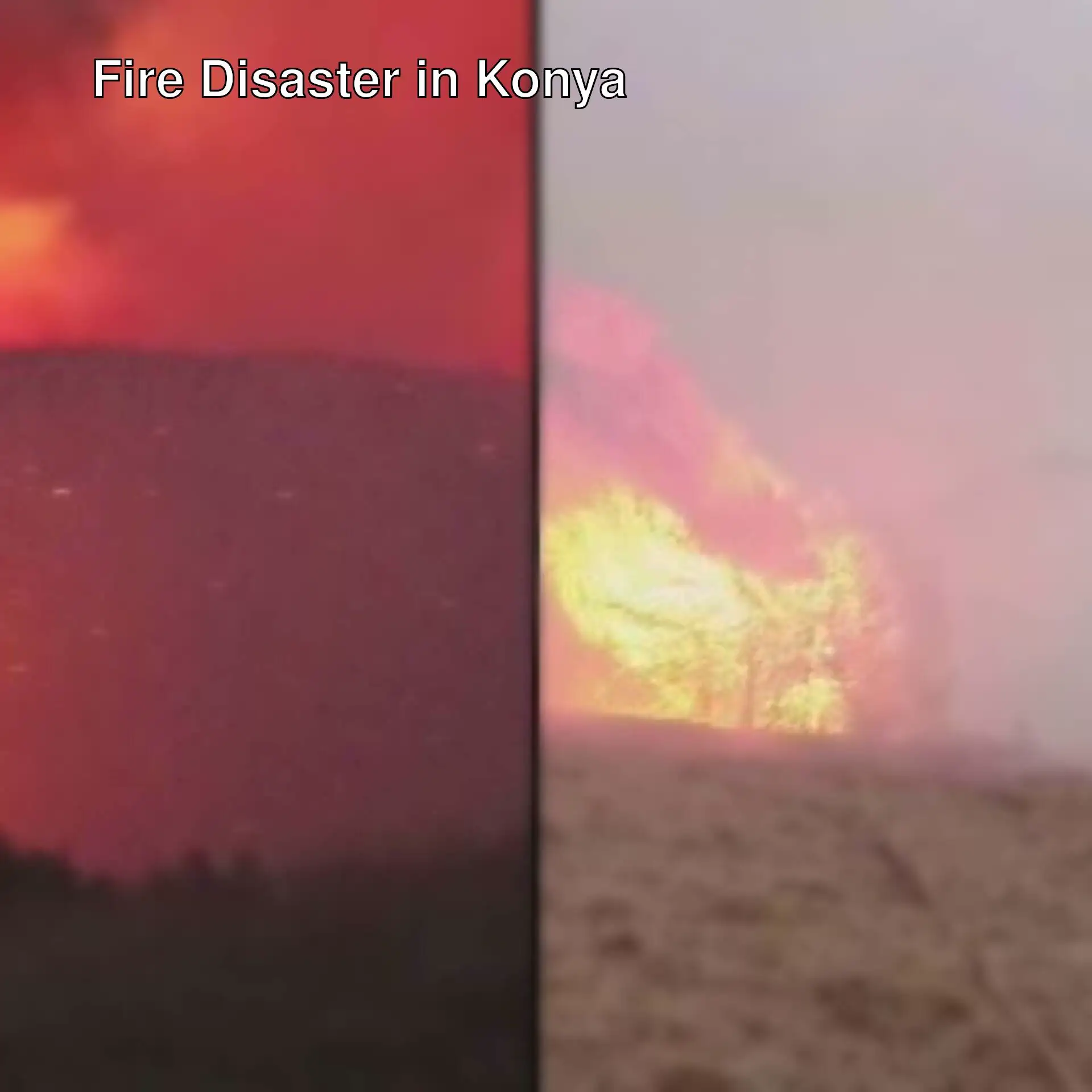 A fire and smoke in a field