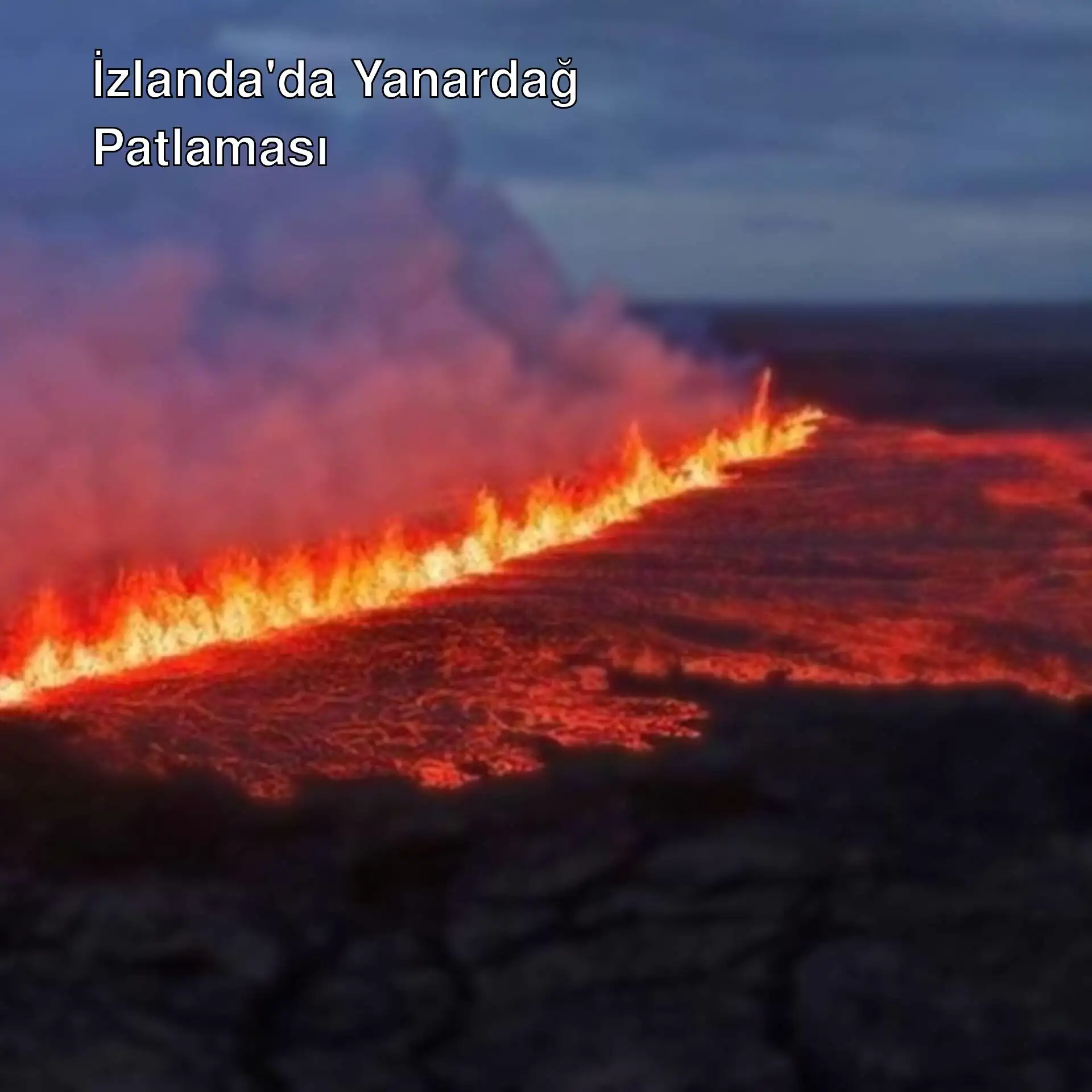 Lava flowing through a field in Iceland. Lava flowing through a field in Iceland.
