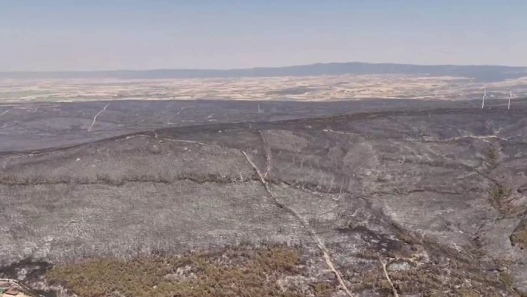 Burnt area after the fire.