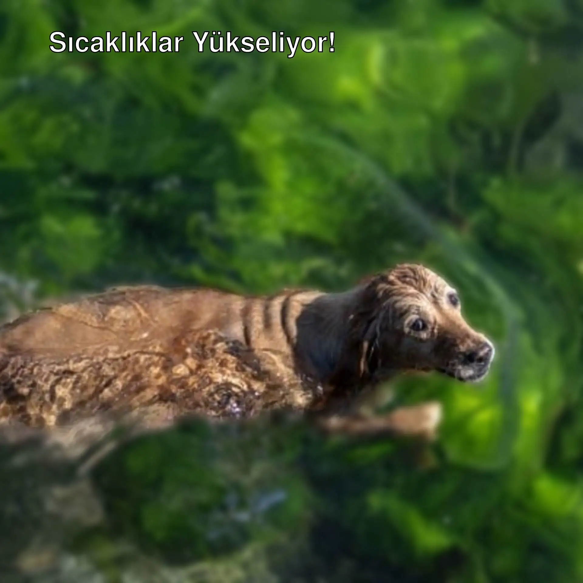 İklim değişikliği ile ilgili sıcaklık artışını gösteren bir görsel. İklim değişikliği ile ilgili sıcaklık artışını gösteren bir görsel.
