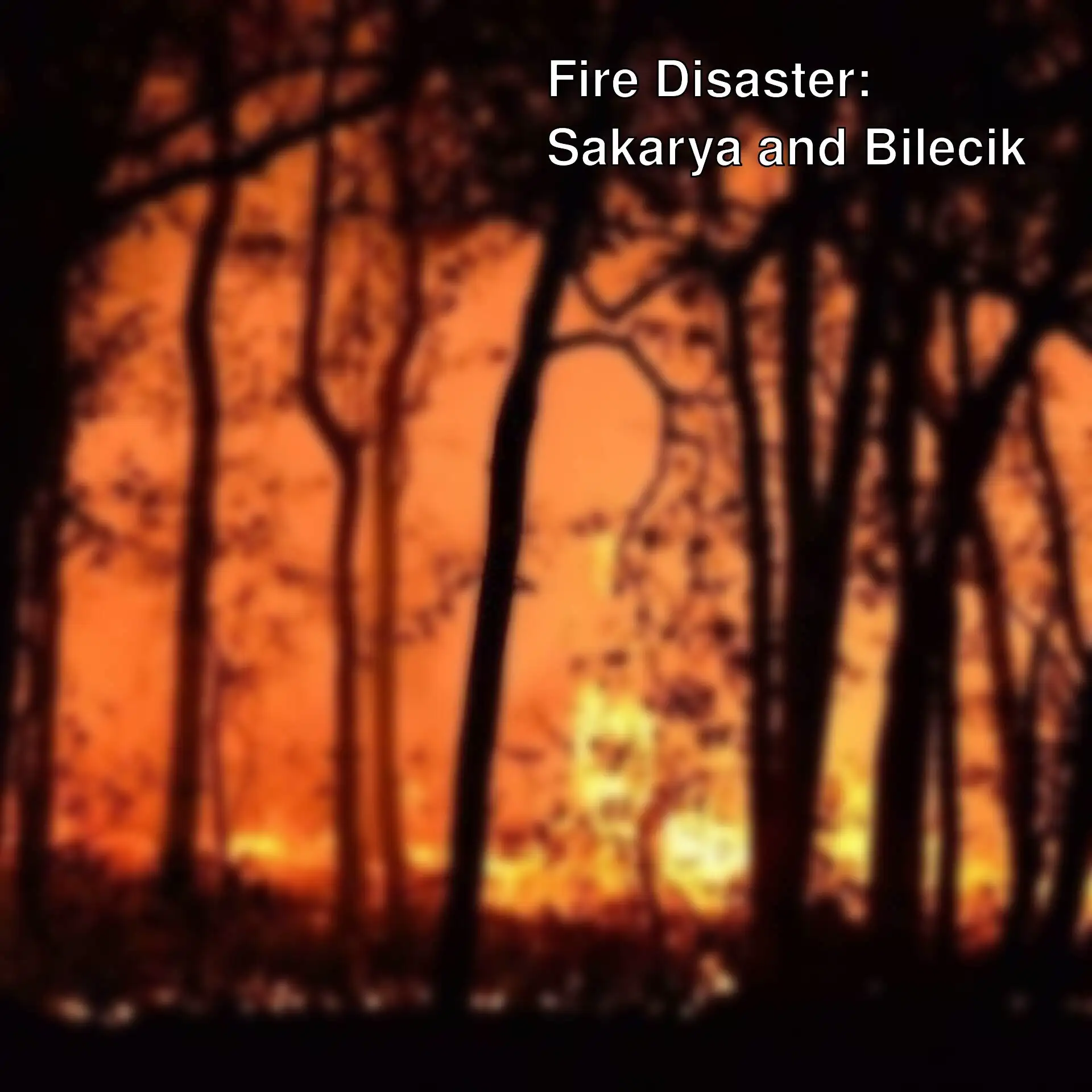 A forest fire at night. A forest fire at night.