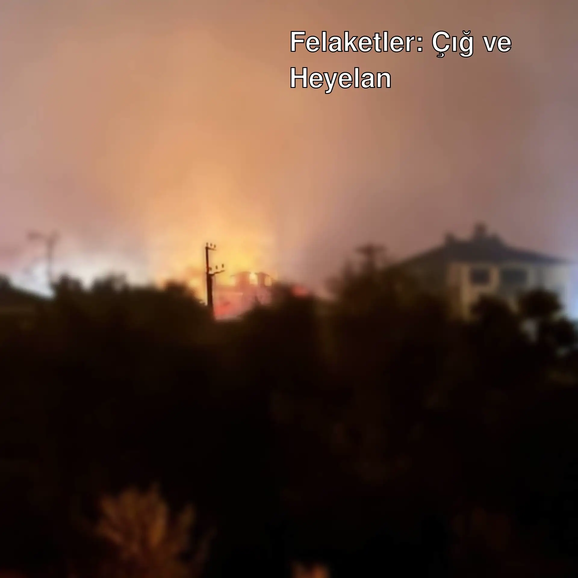 Sakarya'da çıkan yangın sonrası evler alev topuna döndü.