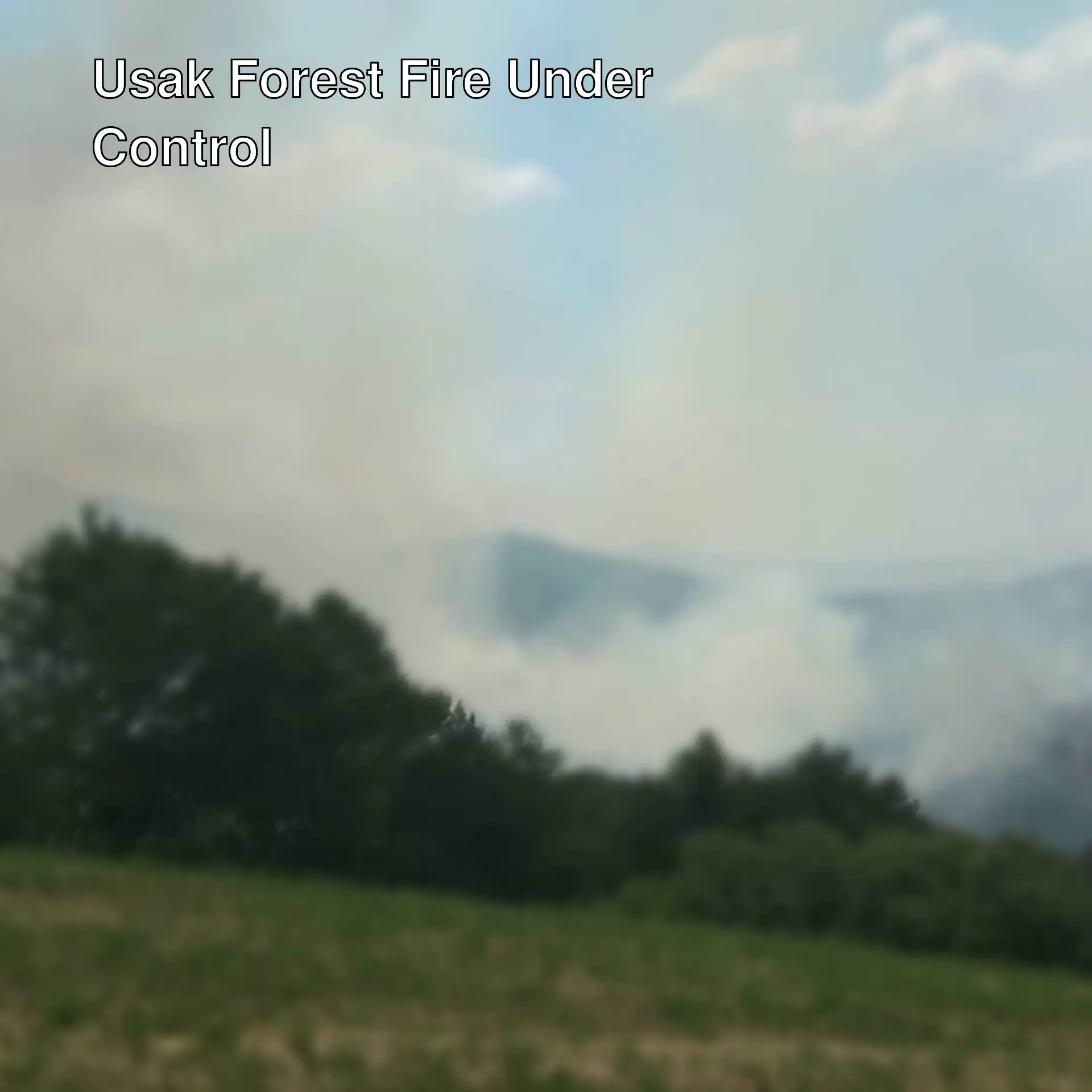 The forest fire in Usak has been brought under control. The forest fire in Usak has been brought under control.