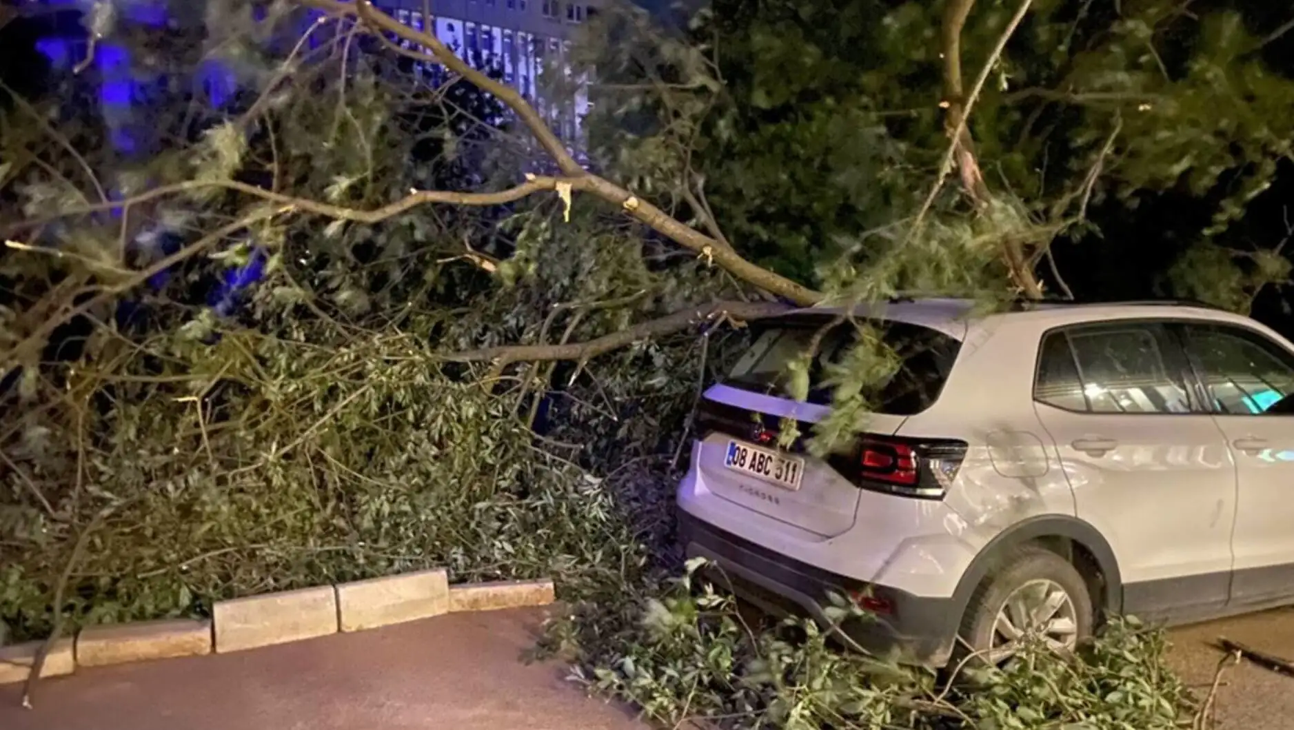 A tree fallen over a car. After the storm. A tree fallen over a car. After the storm.