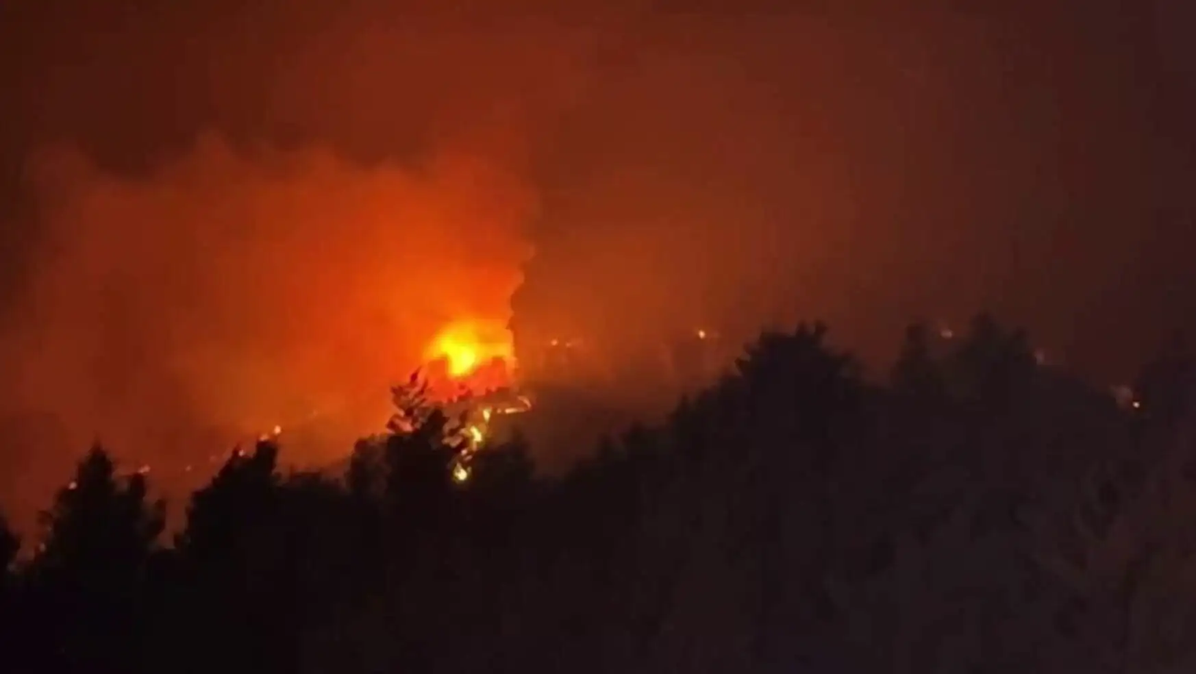 A forest fire at night. A forest fire at night.