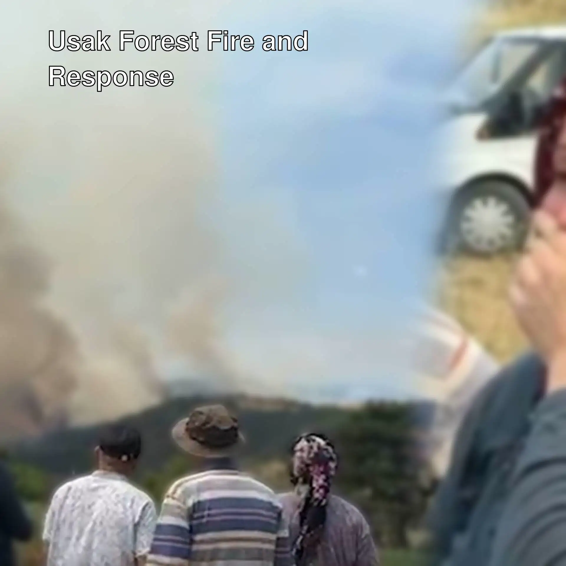 A group of people in front of a forest fire in Usak.