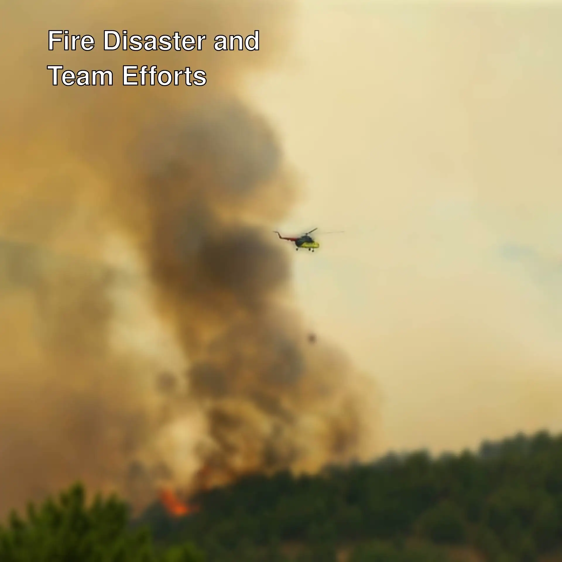Teams battling the forest fire in Sakarya. Teams battling the forest fire in Sakarya.