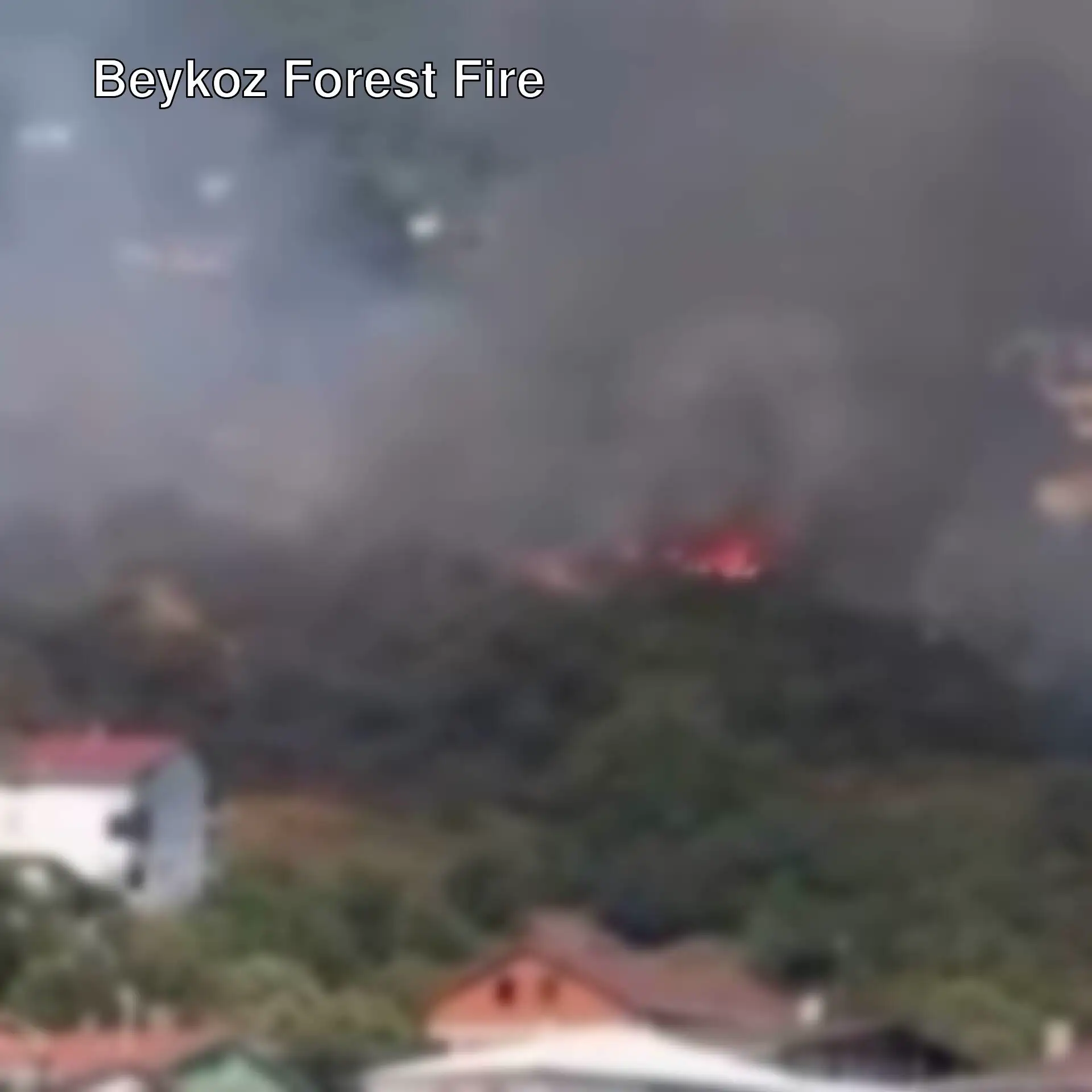 Forest fire in Beykoz