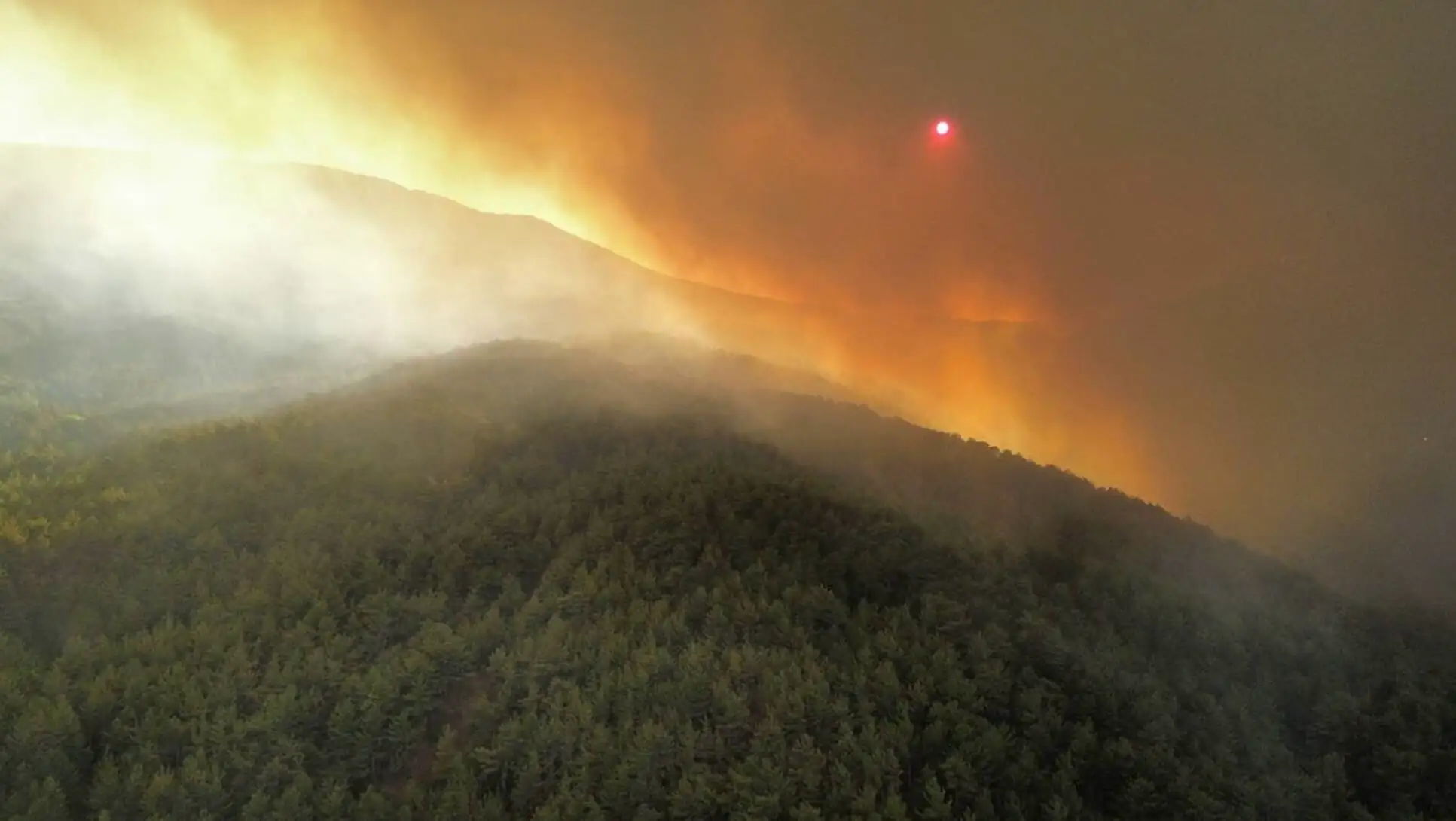 A forest fire in the mountains A forest fire in the mountains