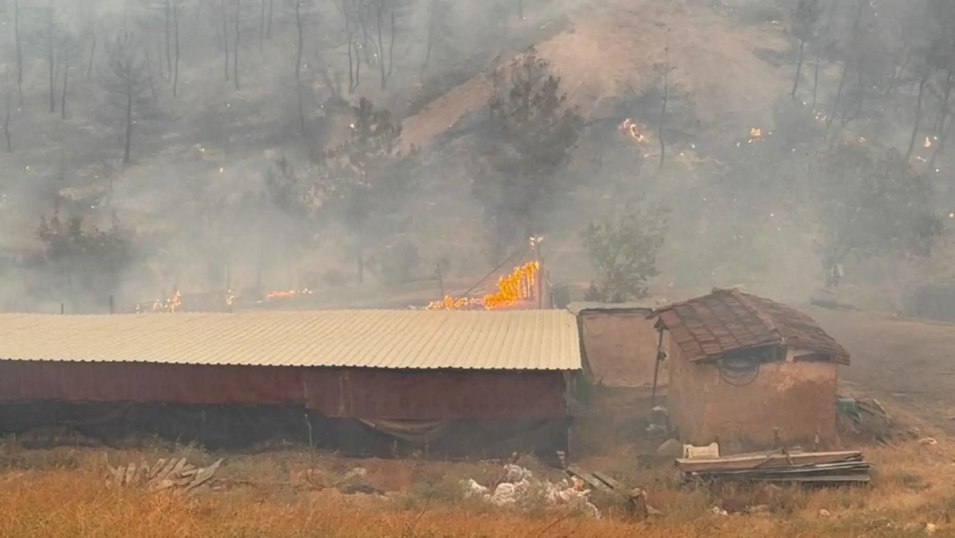 A forest fire with smoke.