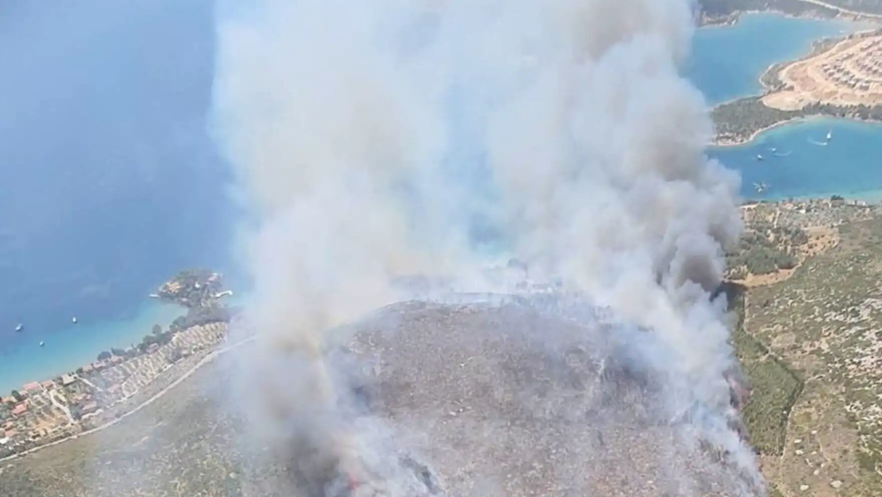 Flames during a forest fire. Flames during a forest fire.