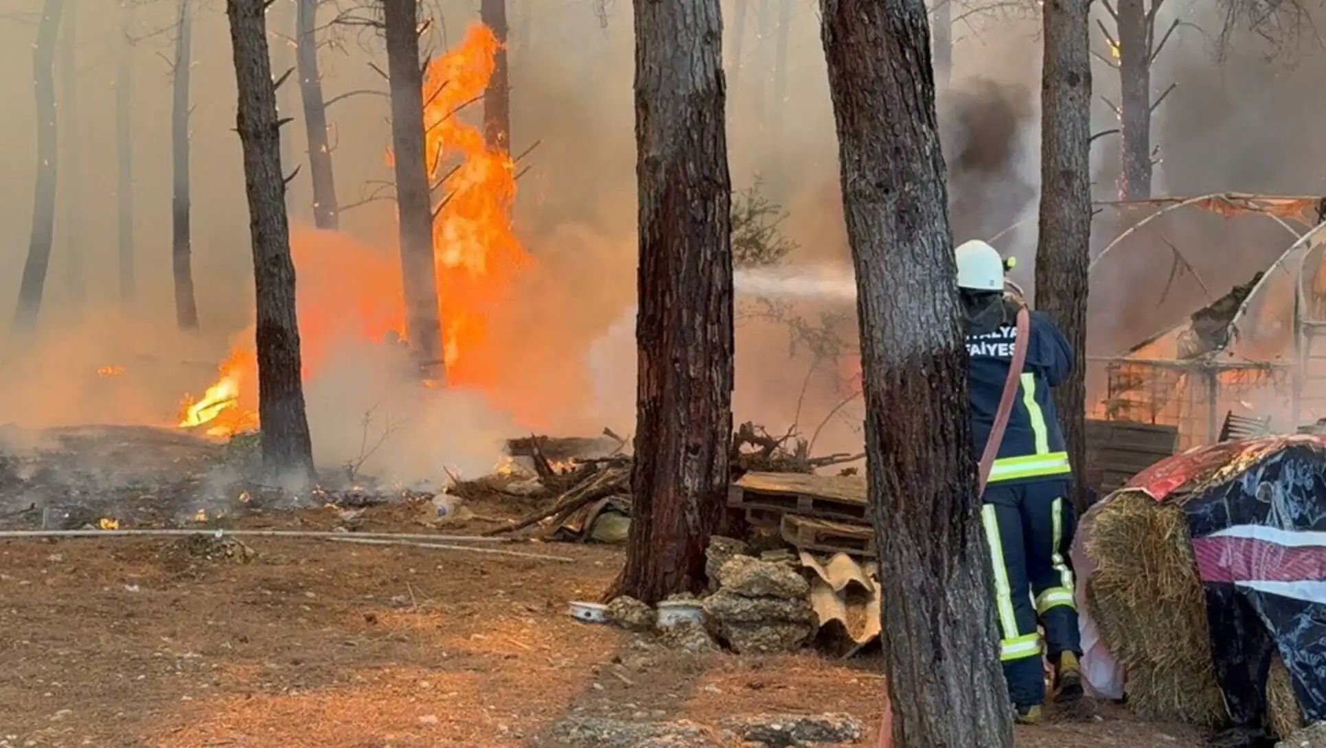 A firefighter is putting out a fire.