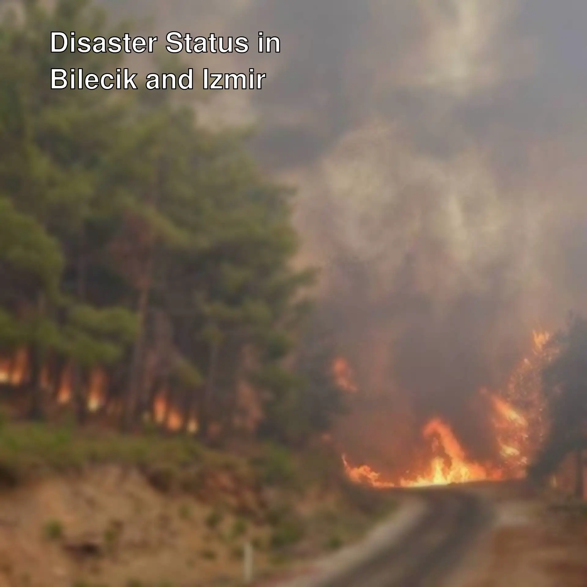 A forest fire on a hill A forest fire on a hill