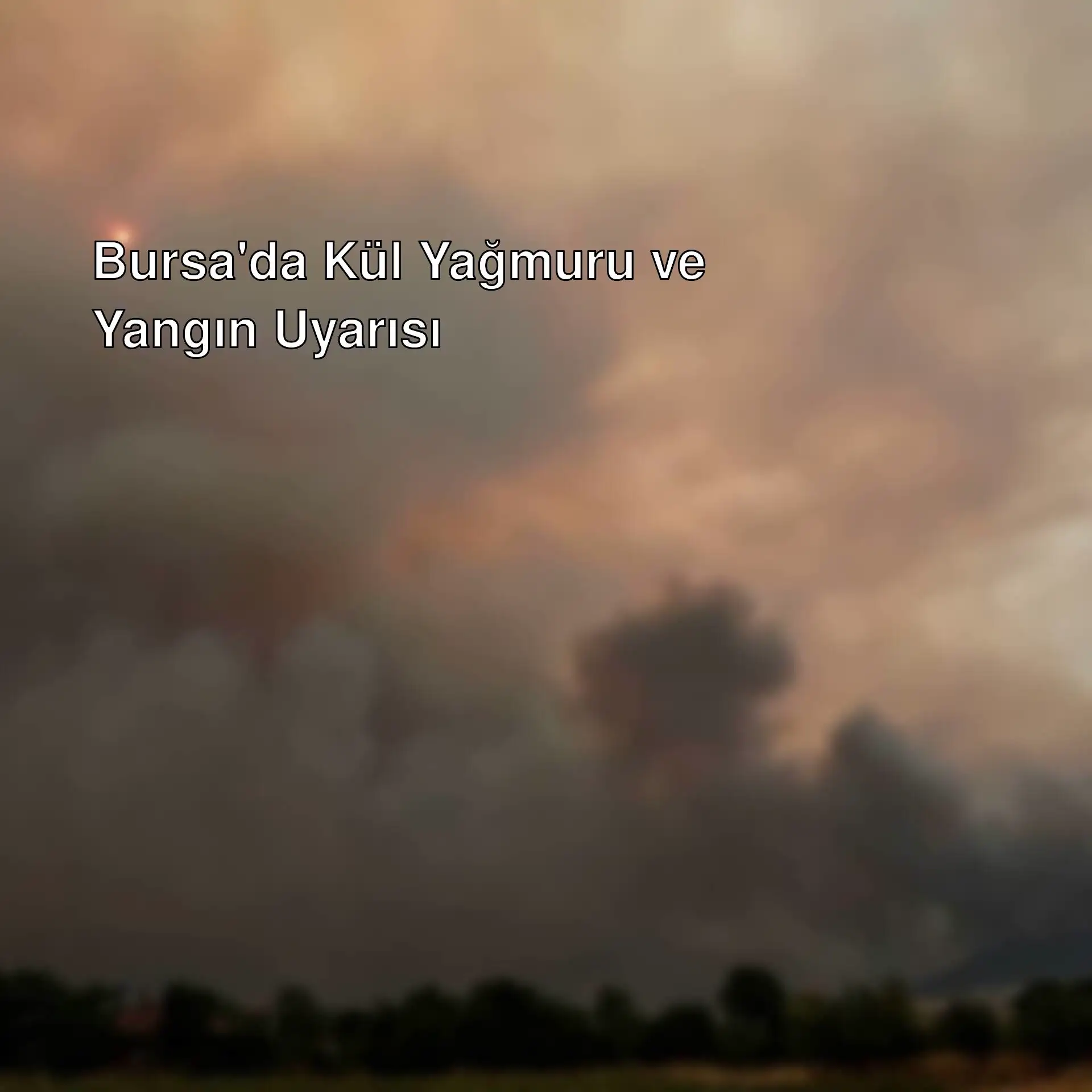 Bursa'da yangın nedeniyle kül yağmuru uyarısı yapıldı.