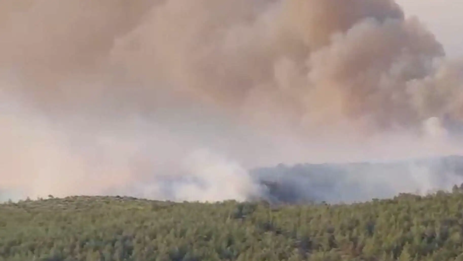 A forest fire with smoke coming out of it A forest fire with smoke coming out of it