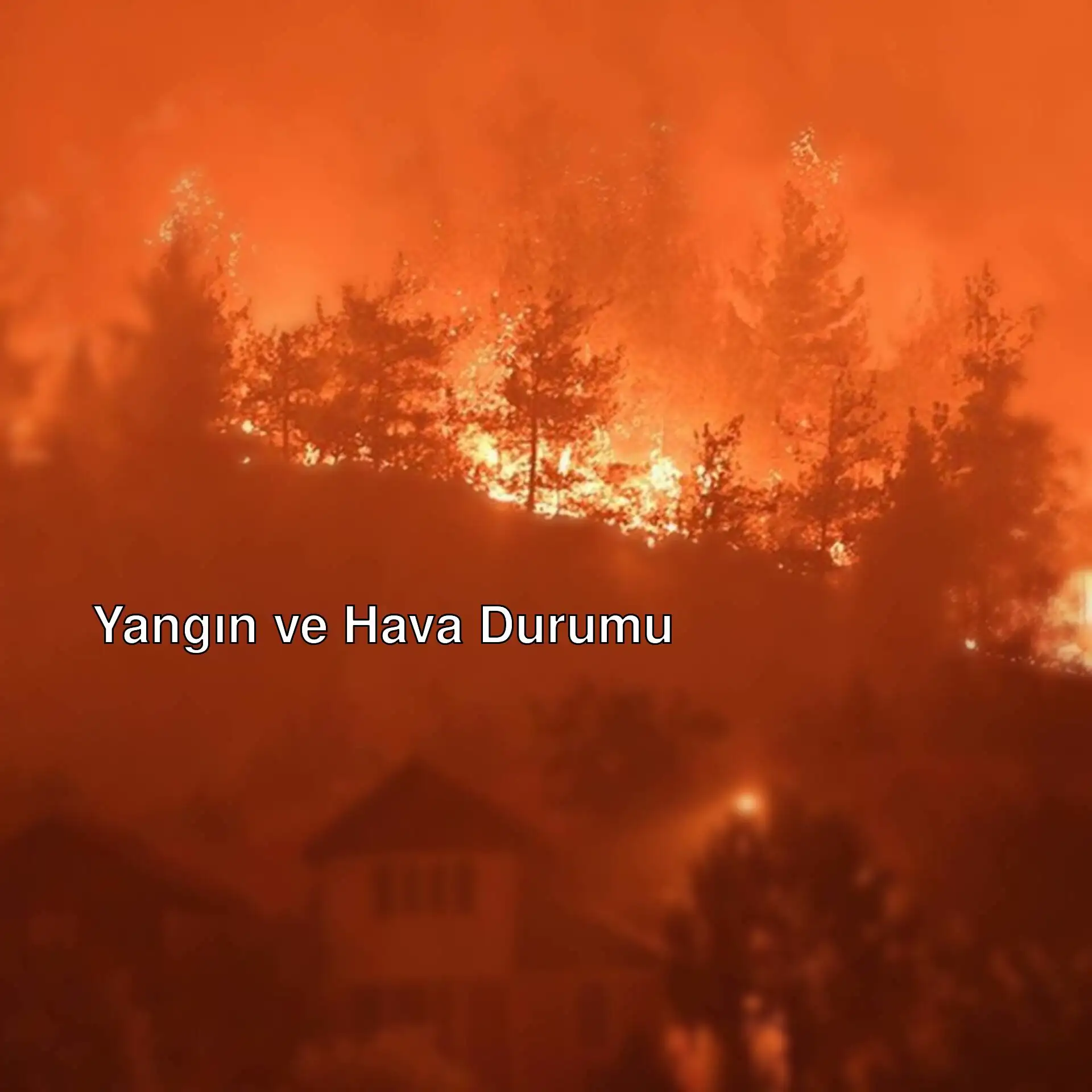 Akşam saatlerinde bir orman yangını
