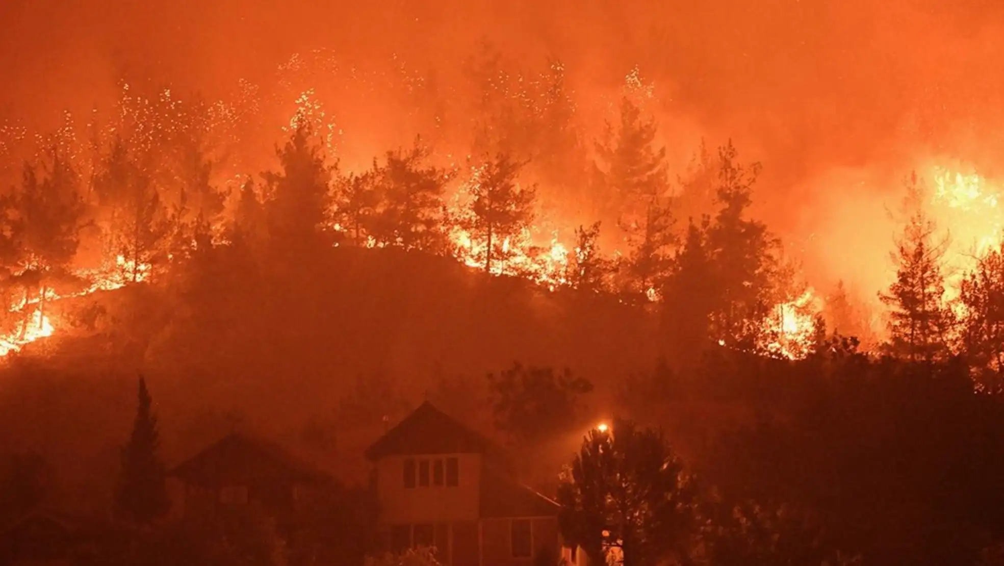 A forest fire in the evening