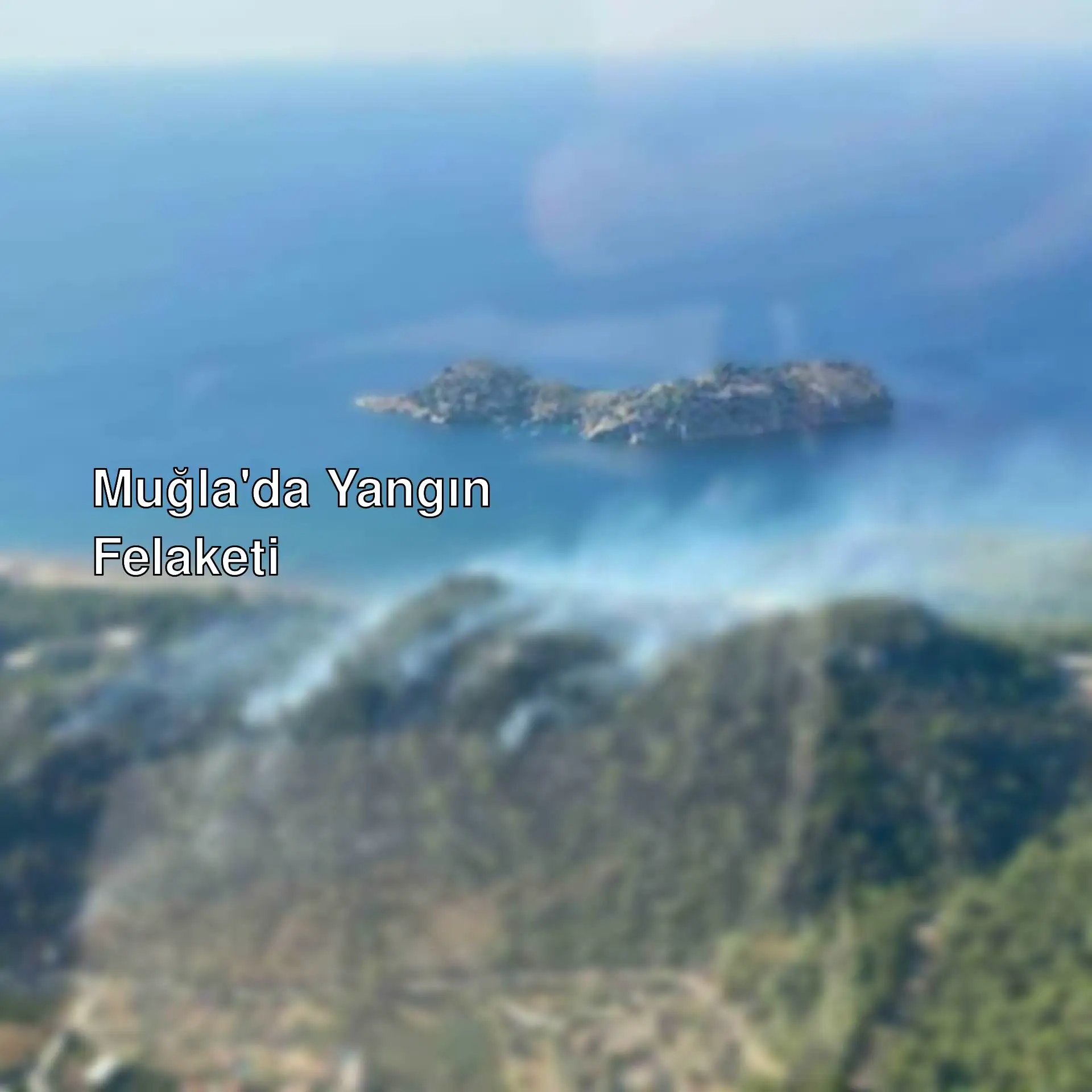 Muğla'da orman yangını Muğla'da orman yangını