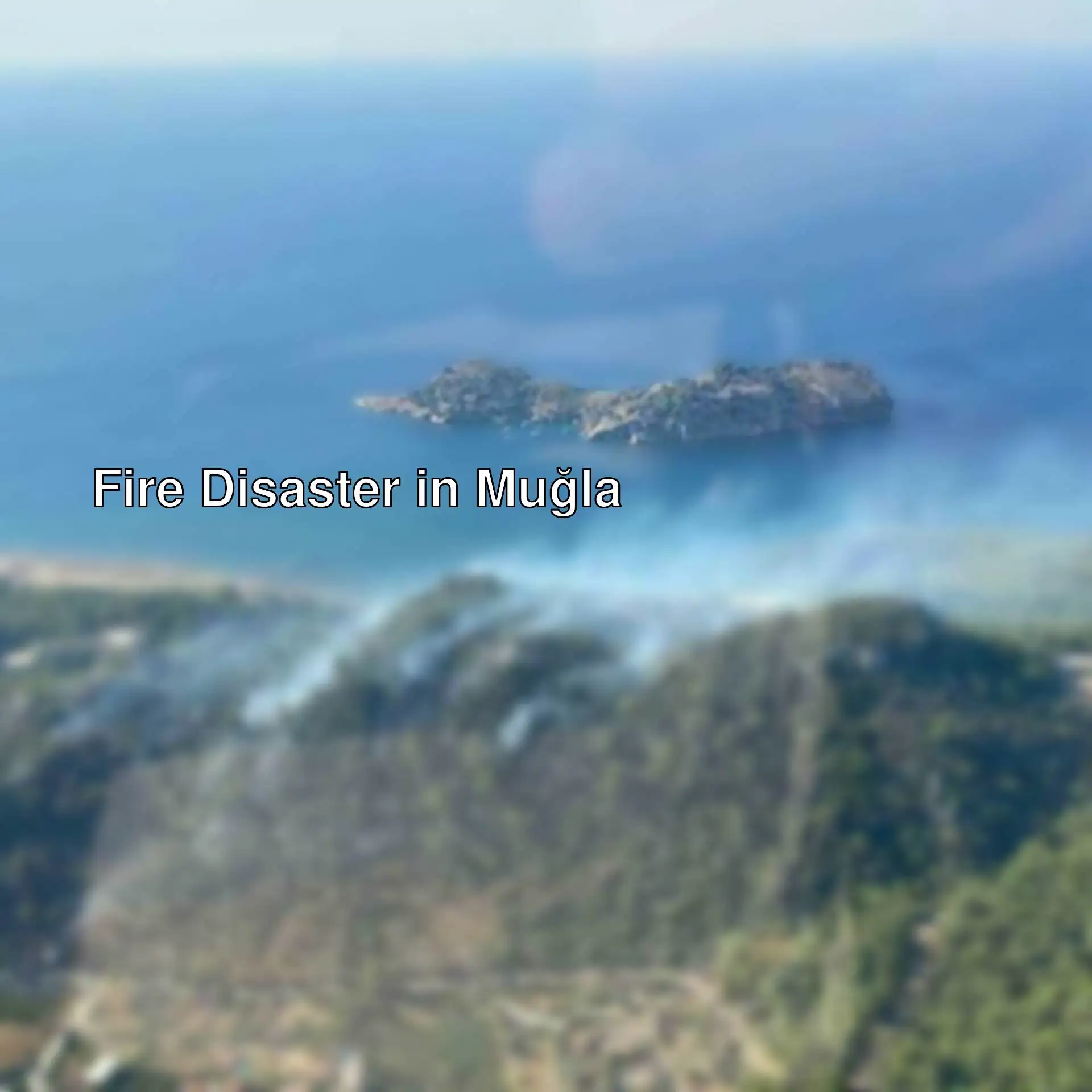 Forest fire in Muğla Forest fire in Muğla