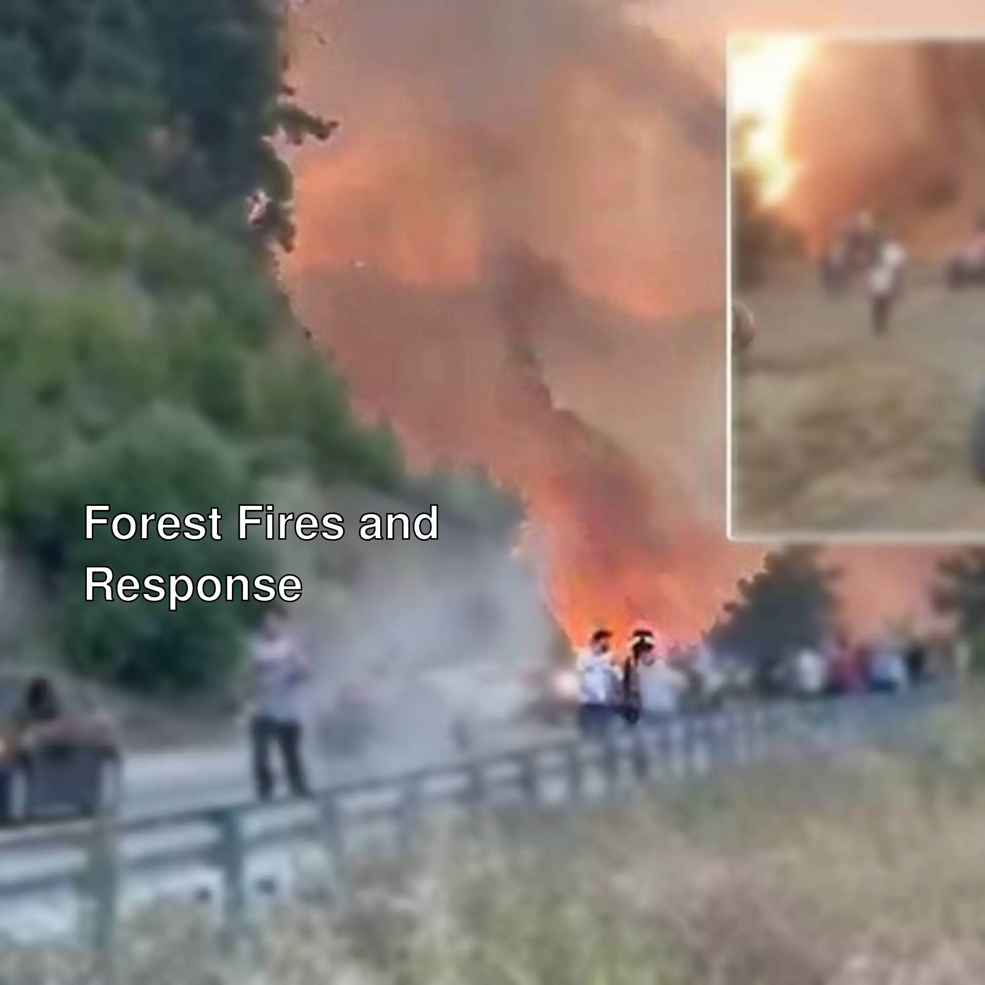 Current situation regarding forest fires in Turkey.