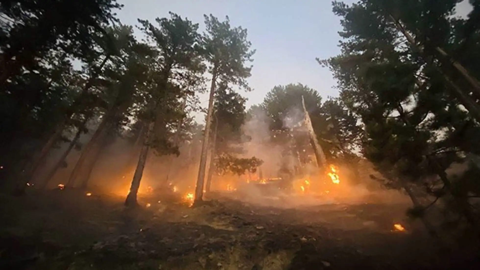 A forest fire with smoke.