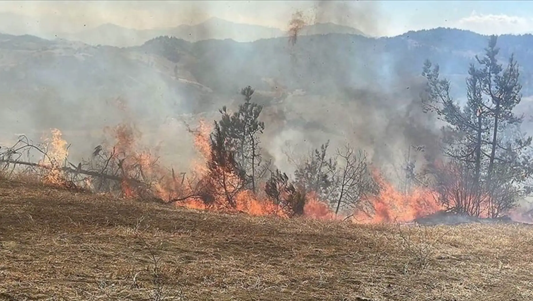 Smoke from a fire in the forest.