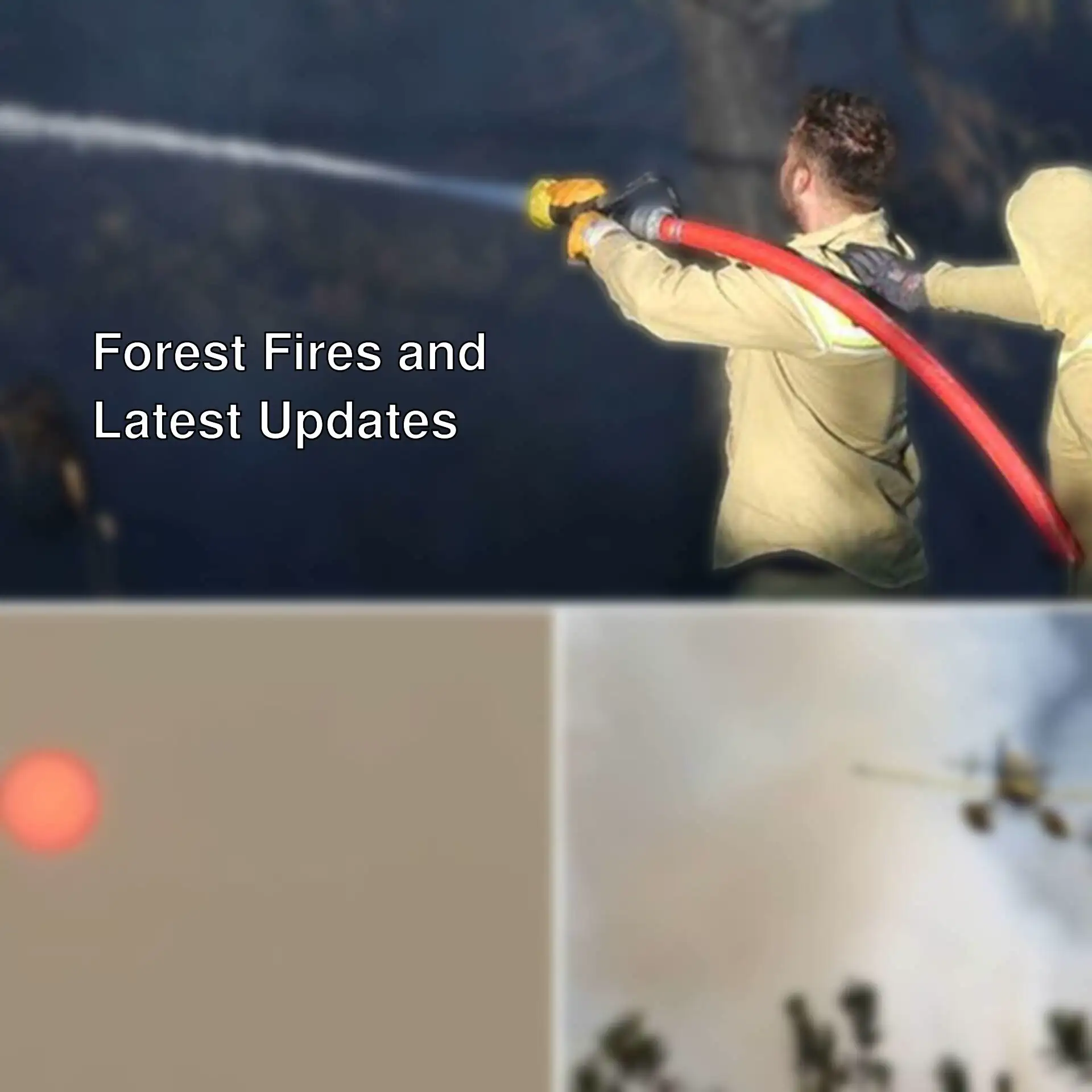 Firefighters spraying water on a forest fire in Bursa. Firefighters spraying water on a forest fire in Bursa.