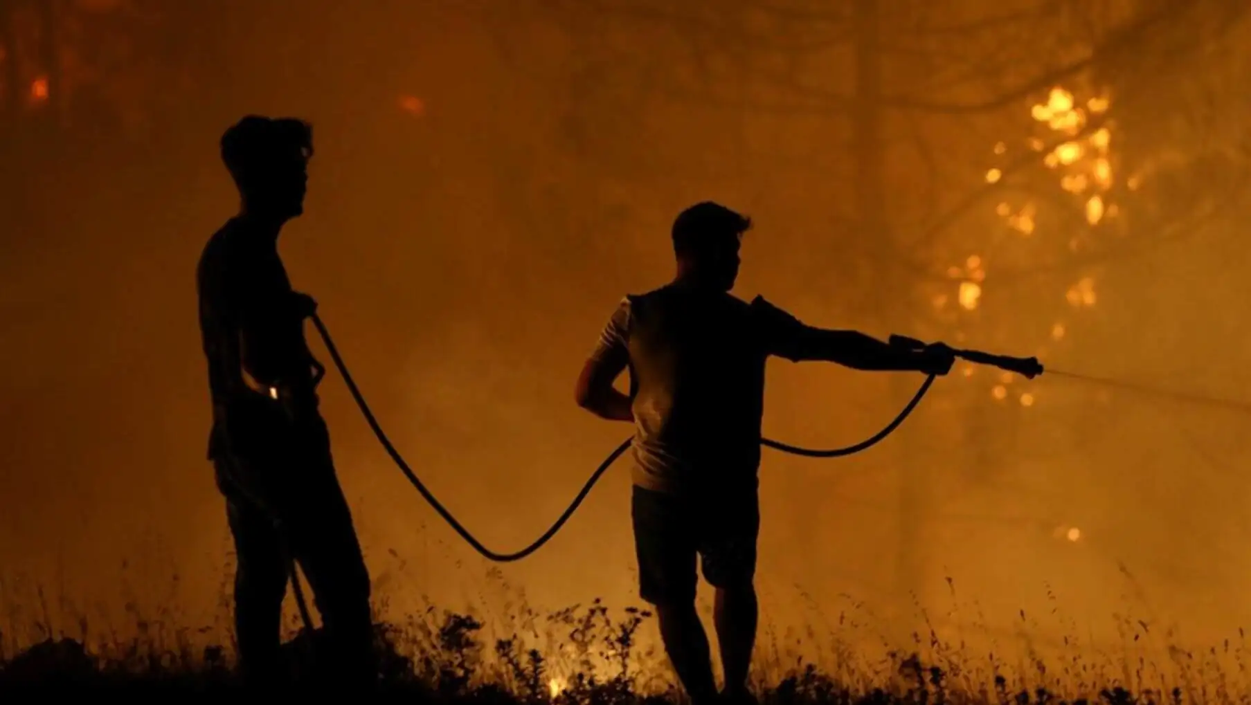 A group of people in the fire area. A group of people in the fire area.