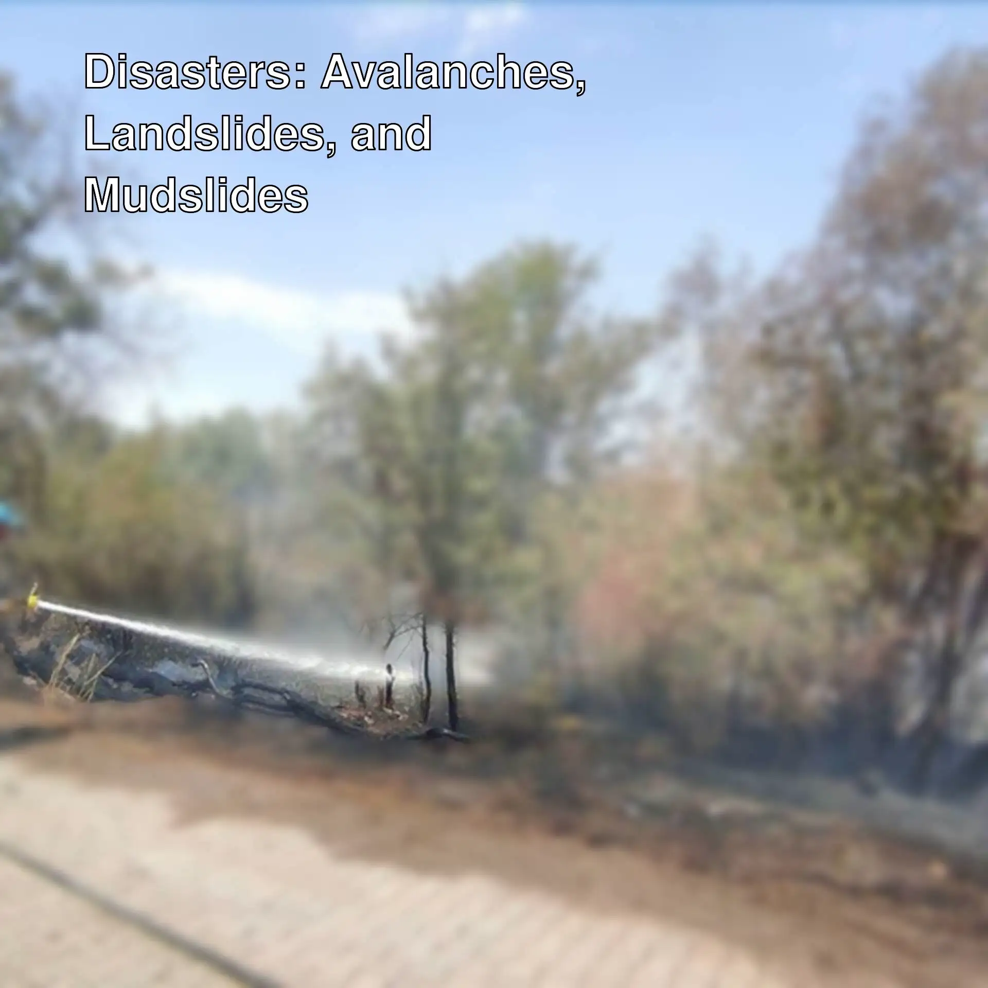 A firefighter spraying a fire in a forest.