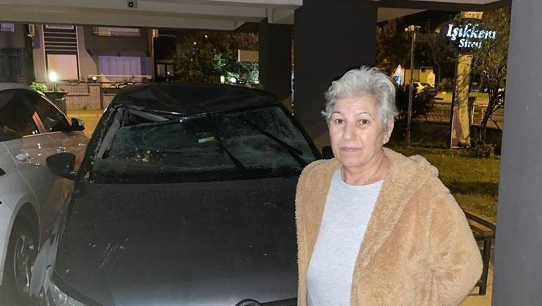 Aydın'da fırtına sonrası devrilen ağaçlar Aydın'da fırtına sonrası devrilen ağaçlar