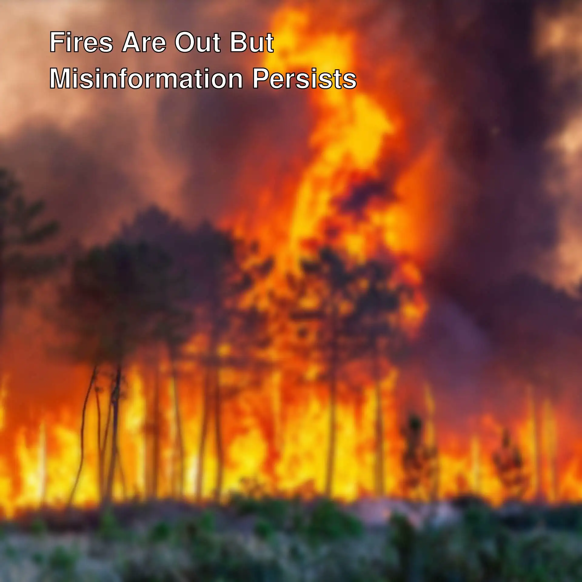 A forest fire with smoke A forest fire with smoke