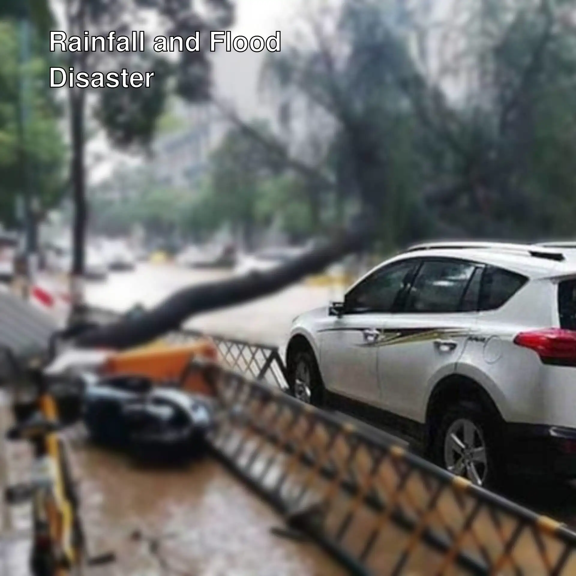 A tree fallen over a flooded street. A tree fallen over a flooded street.
