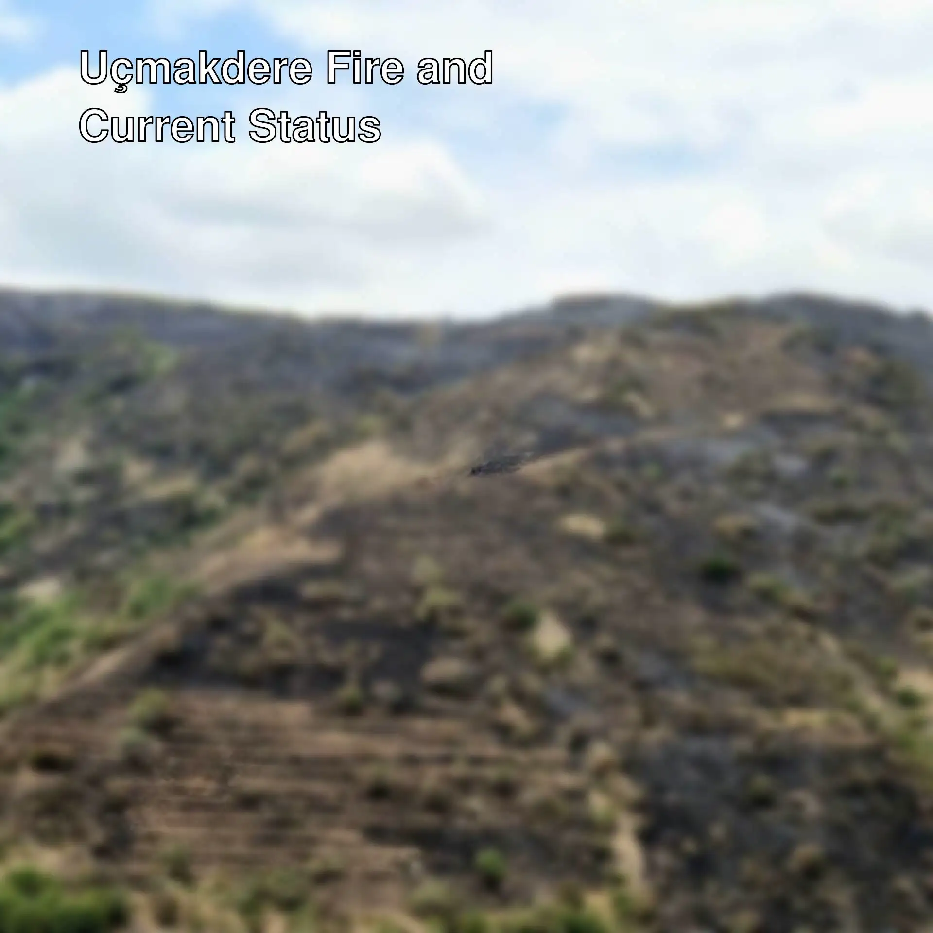 Aerial footage of the burned areas in Uçmakdere. Aerial footage of the burned areas in Uçmakdere.