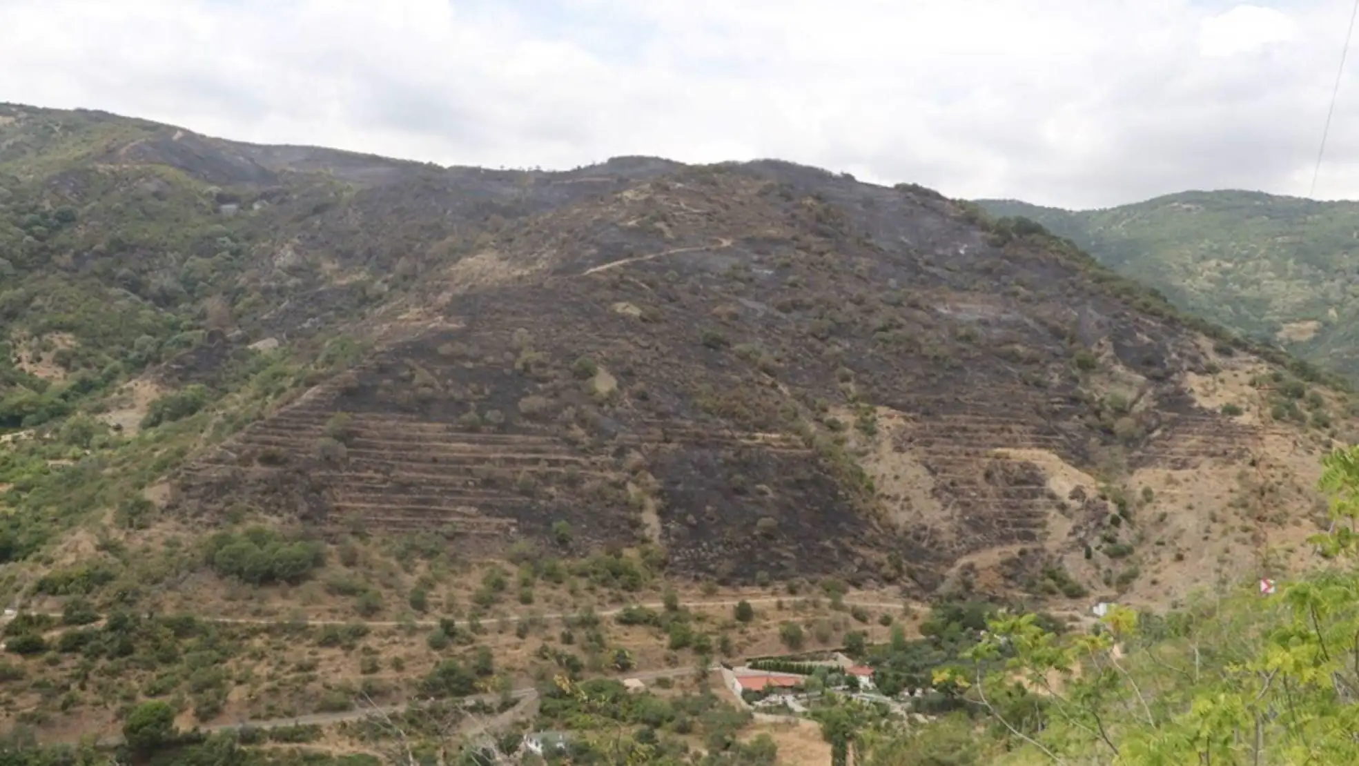 Aerial view of the burned areas in Uçmakdere. Aerial view of the burned areas in Uçmakdere.