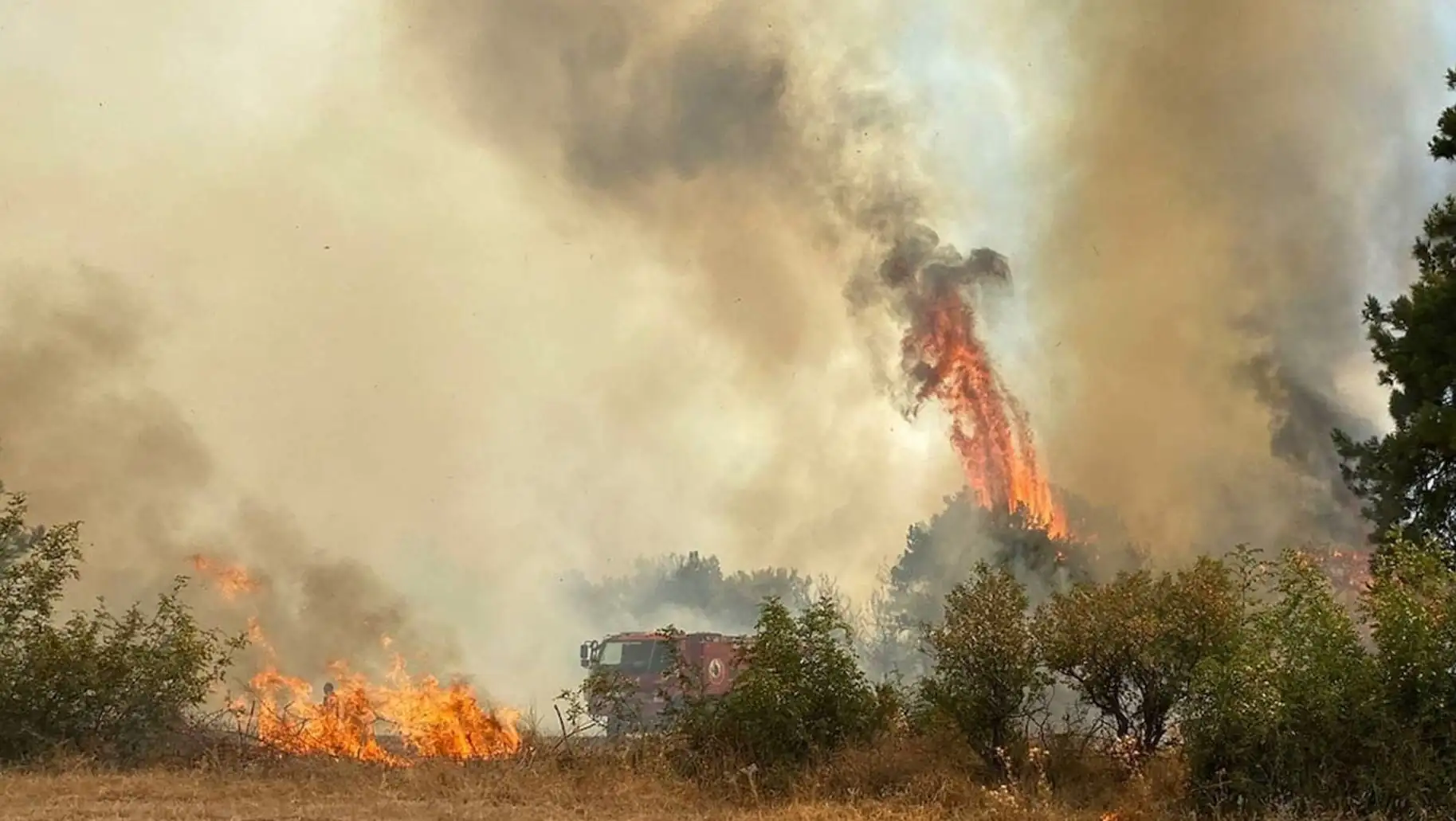 Çanakkale'de orman yangını. Ağaçların alev aldığı bir görüntü. Çanakkale'de orman yangını. Ağaçların alev aldığı bir görüntü.