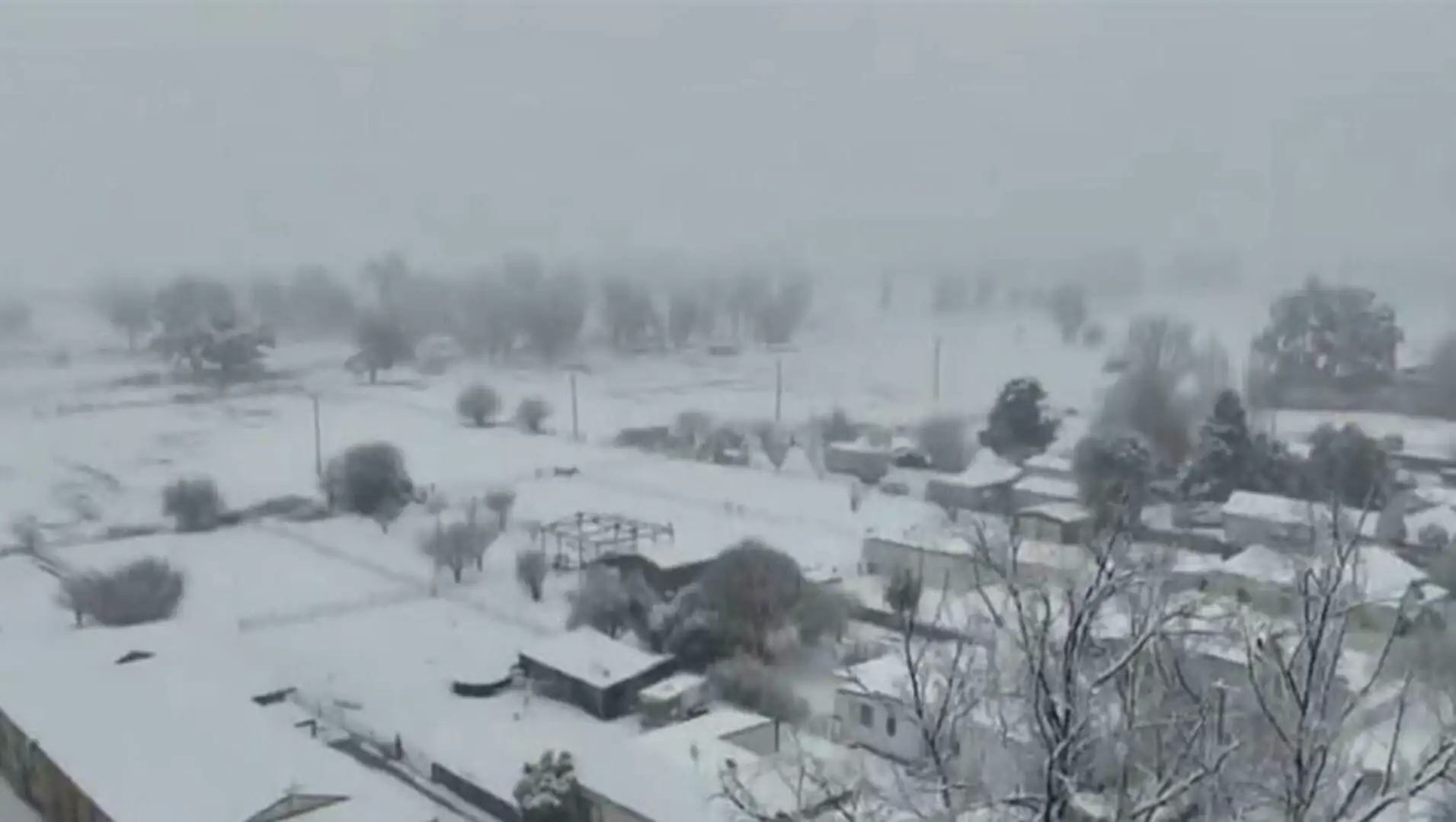 A snowy landscape with houses and trees.