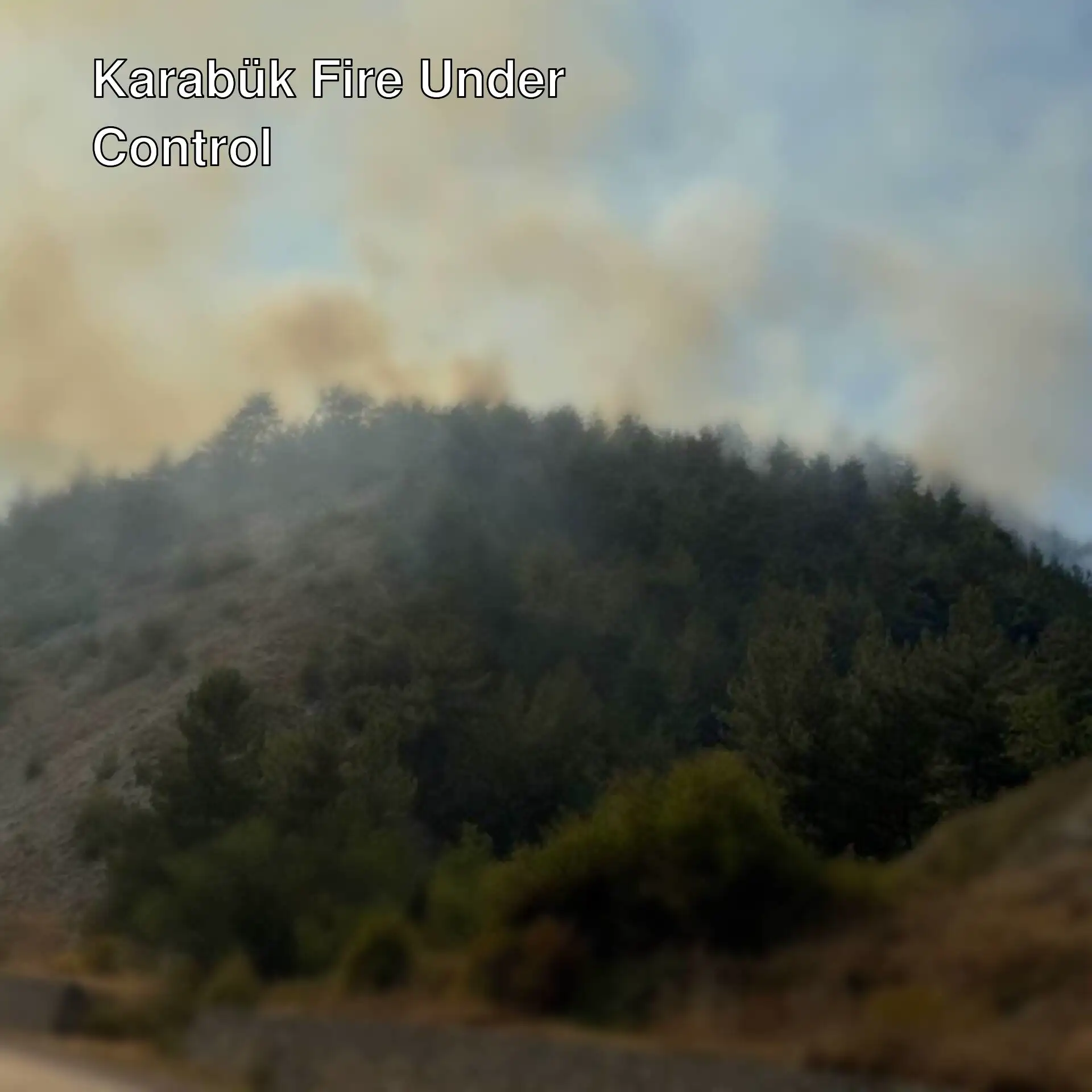 Forest fire in Karabük has been brought under control.