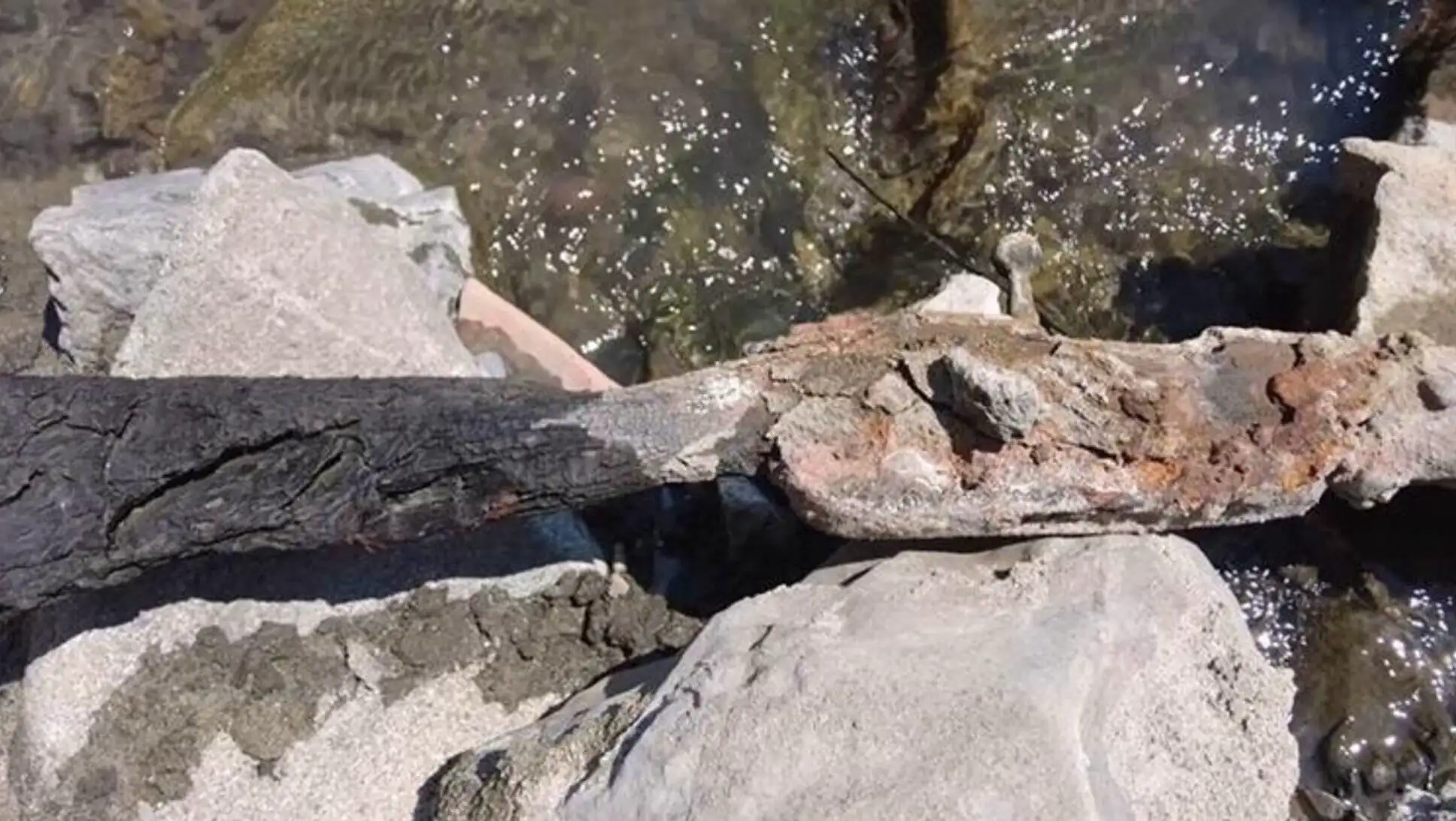 A log on rocks near the Meriç River.