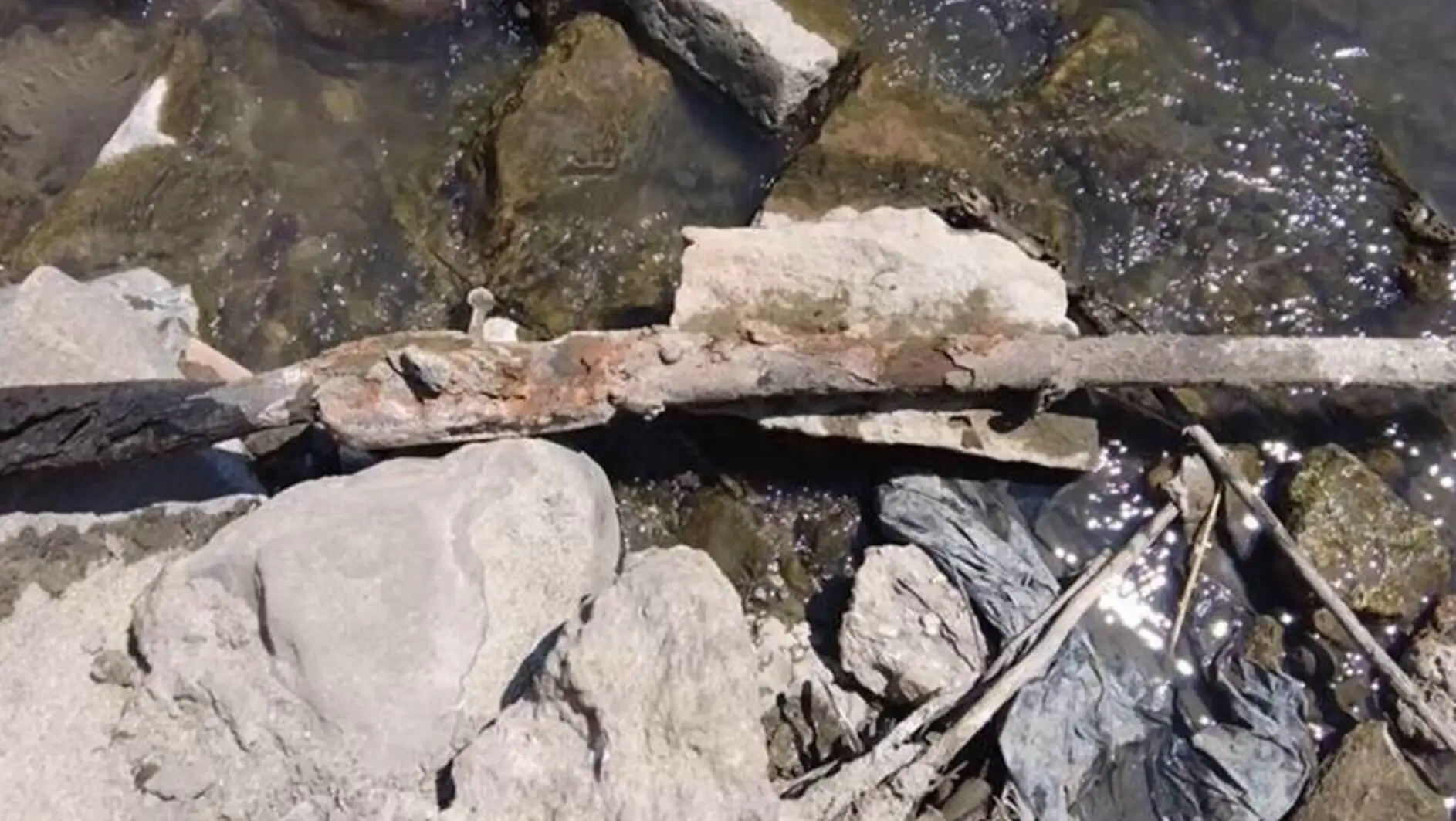 A log on rocks in the Meriç River.