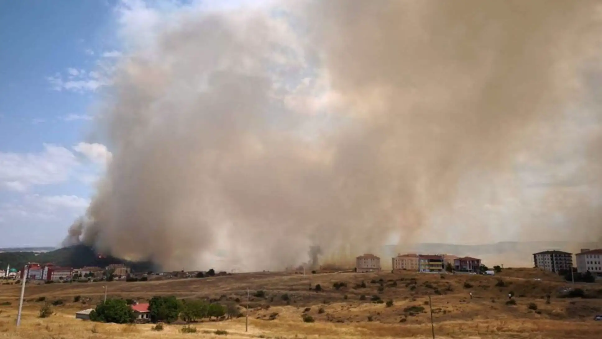A fire in a field